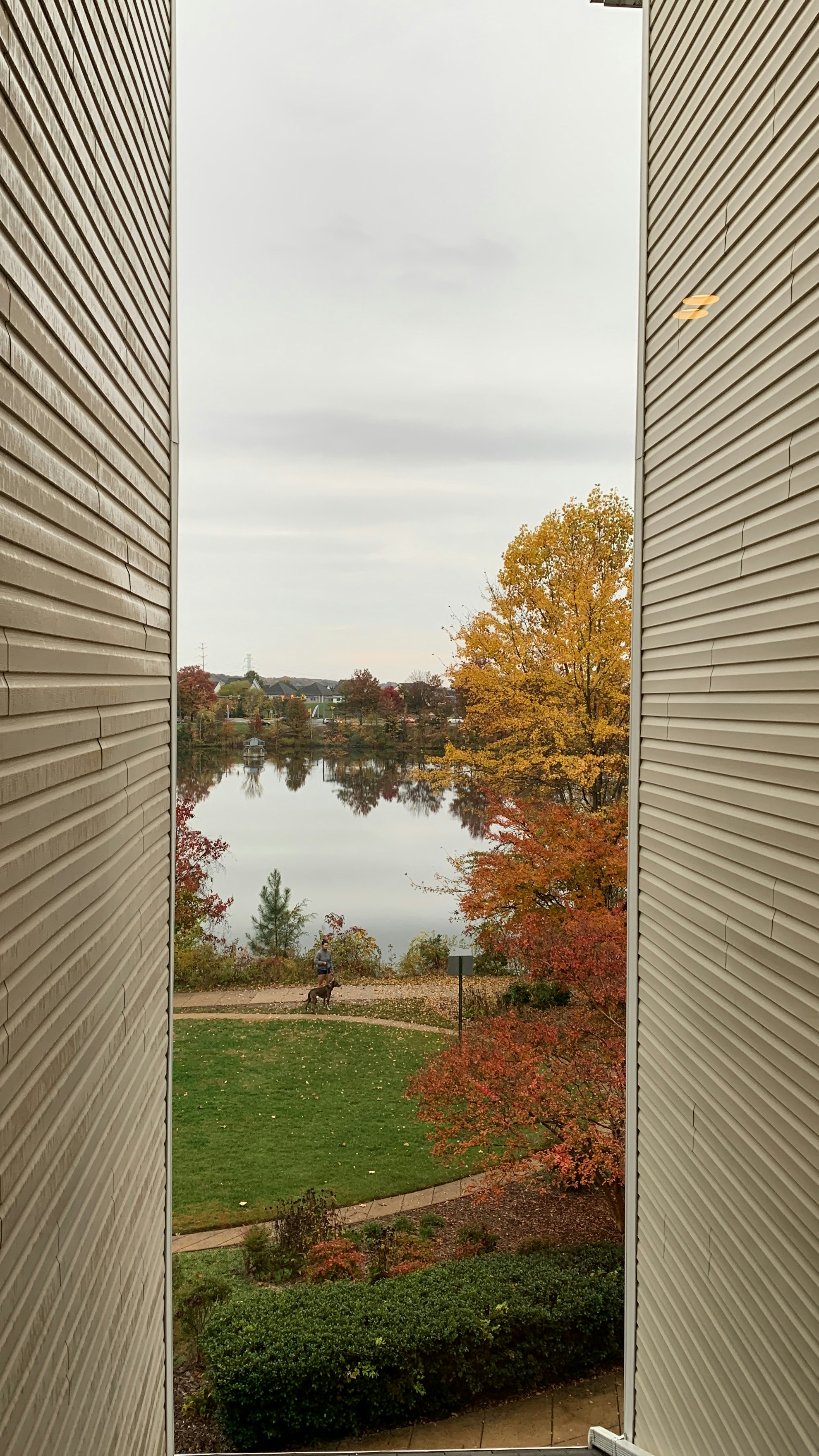 a person riding a horse on a path by a lake