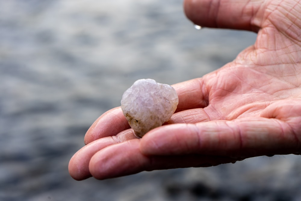 a hand holding a white rock