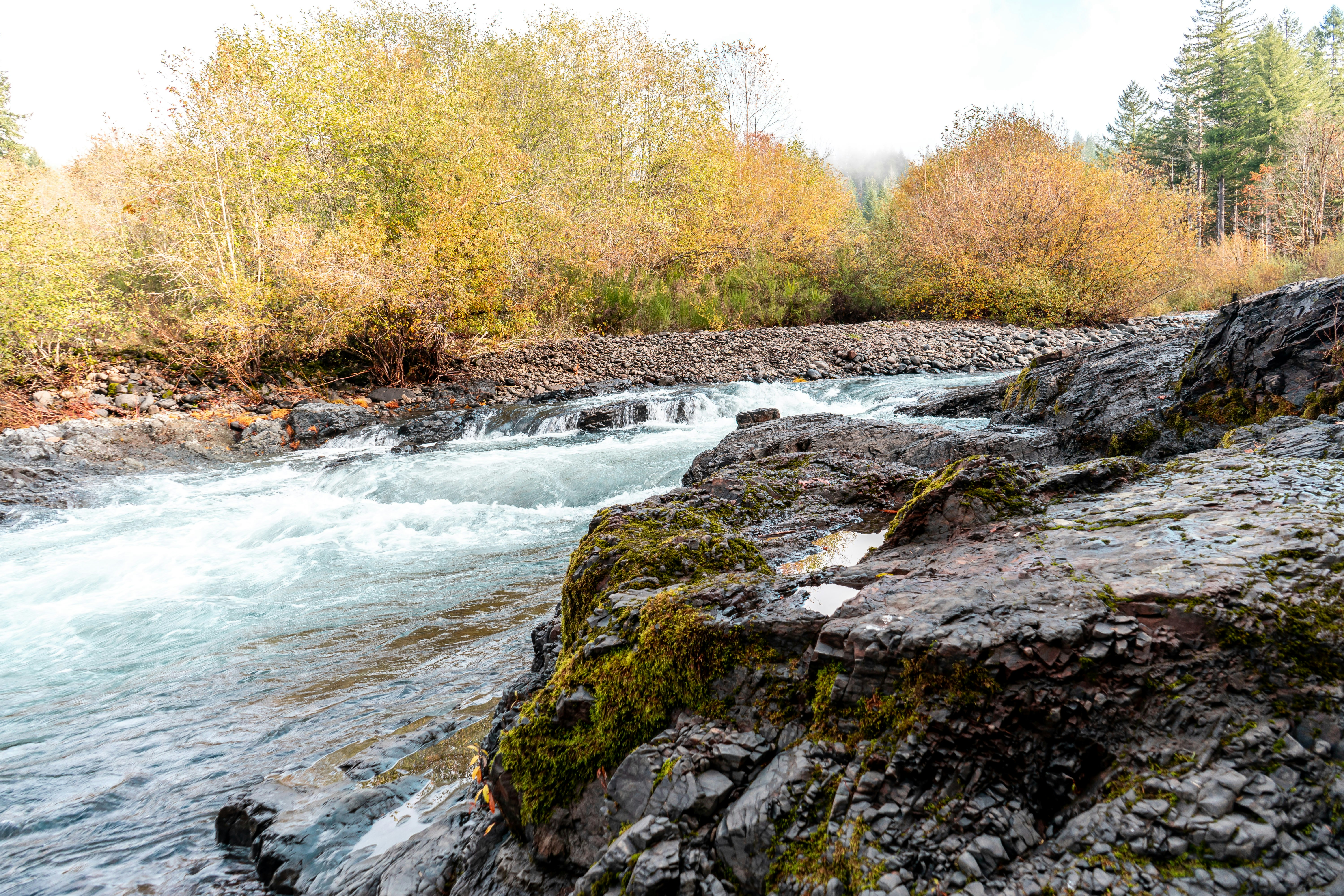 Photo by rosiebarley