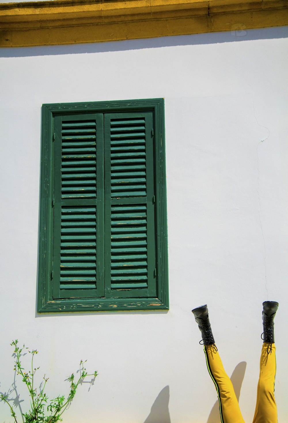 a green window on a white wall