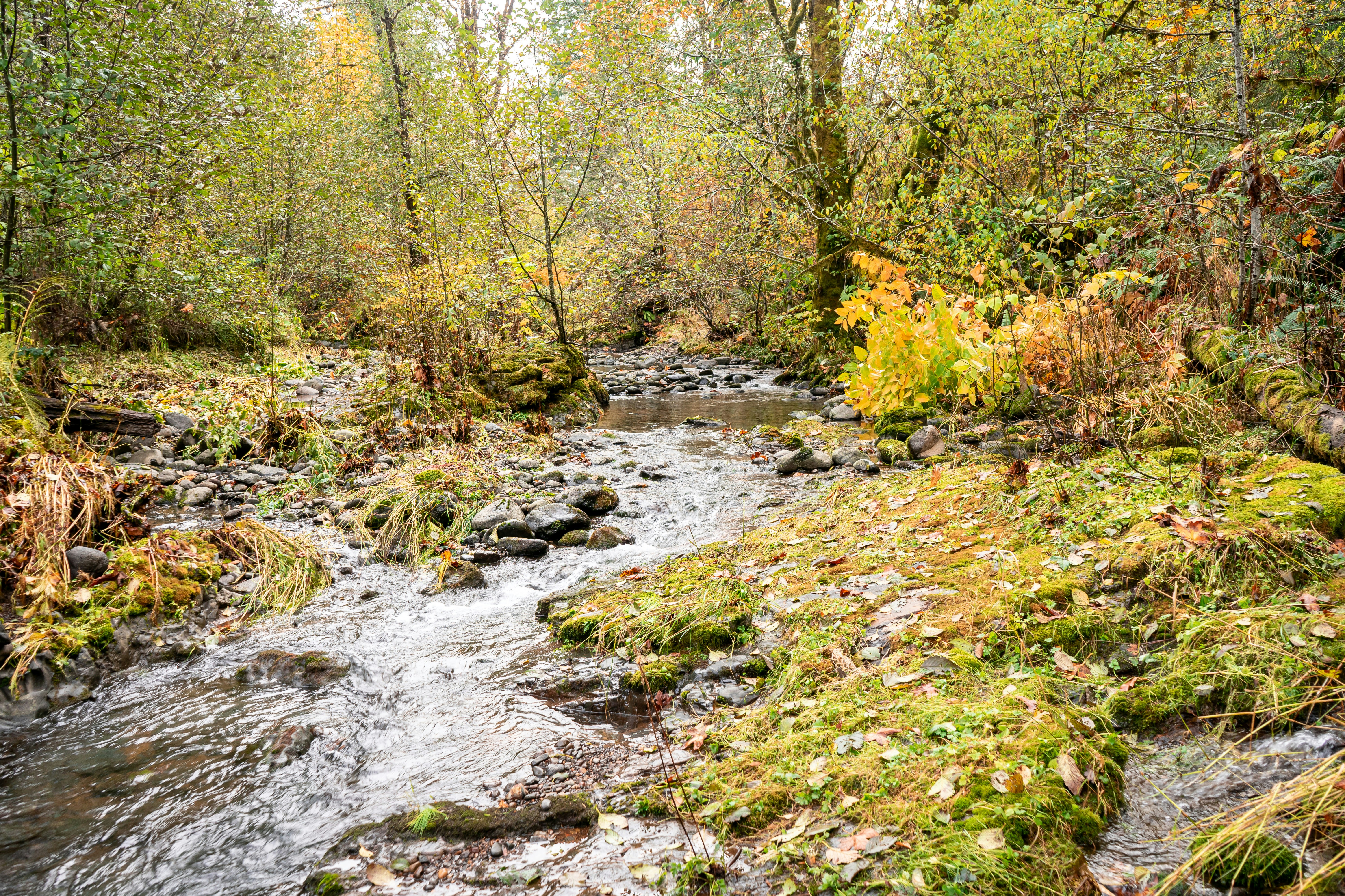 Photo by rosiebarley