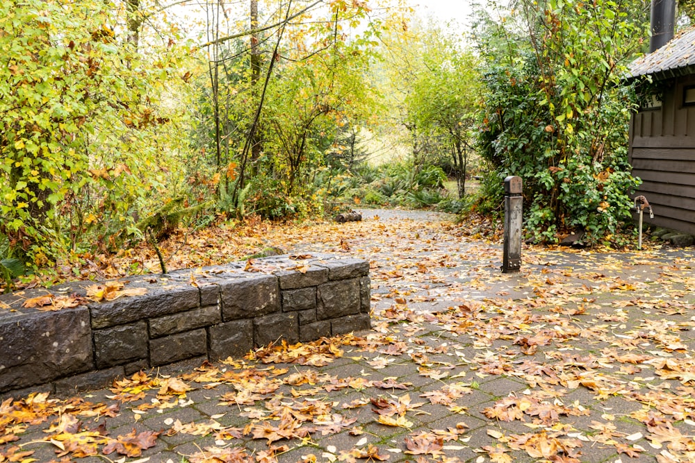 a brick path with trees and a house in the background