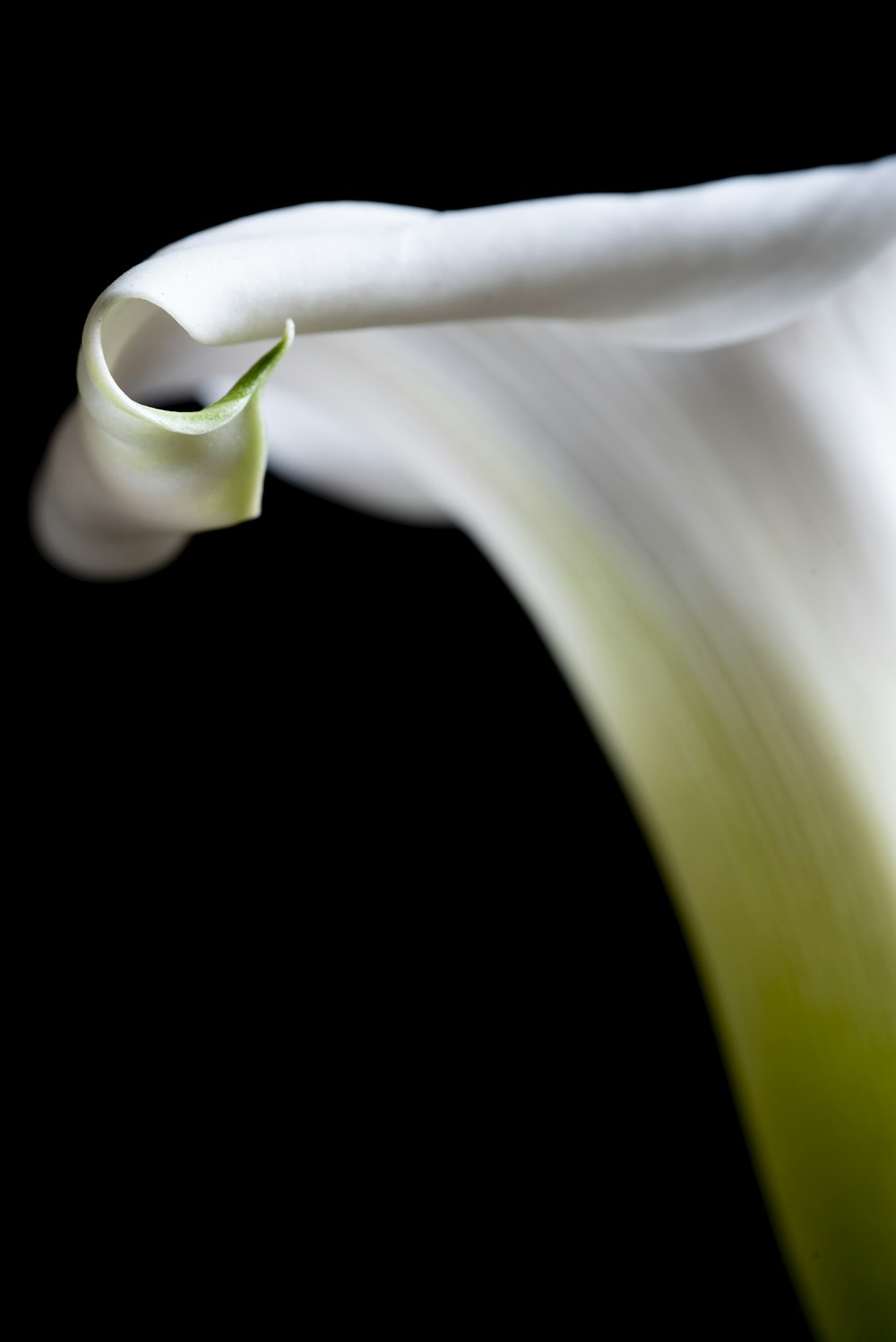 a white tube with a green stem