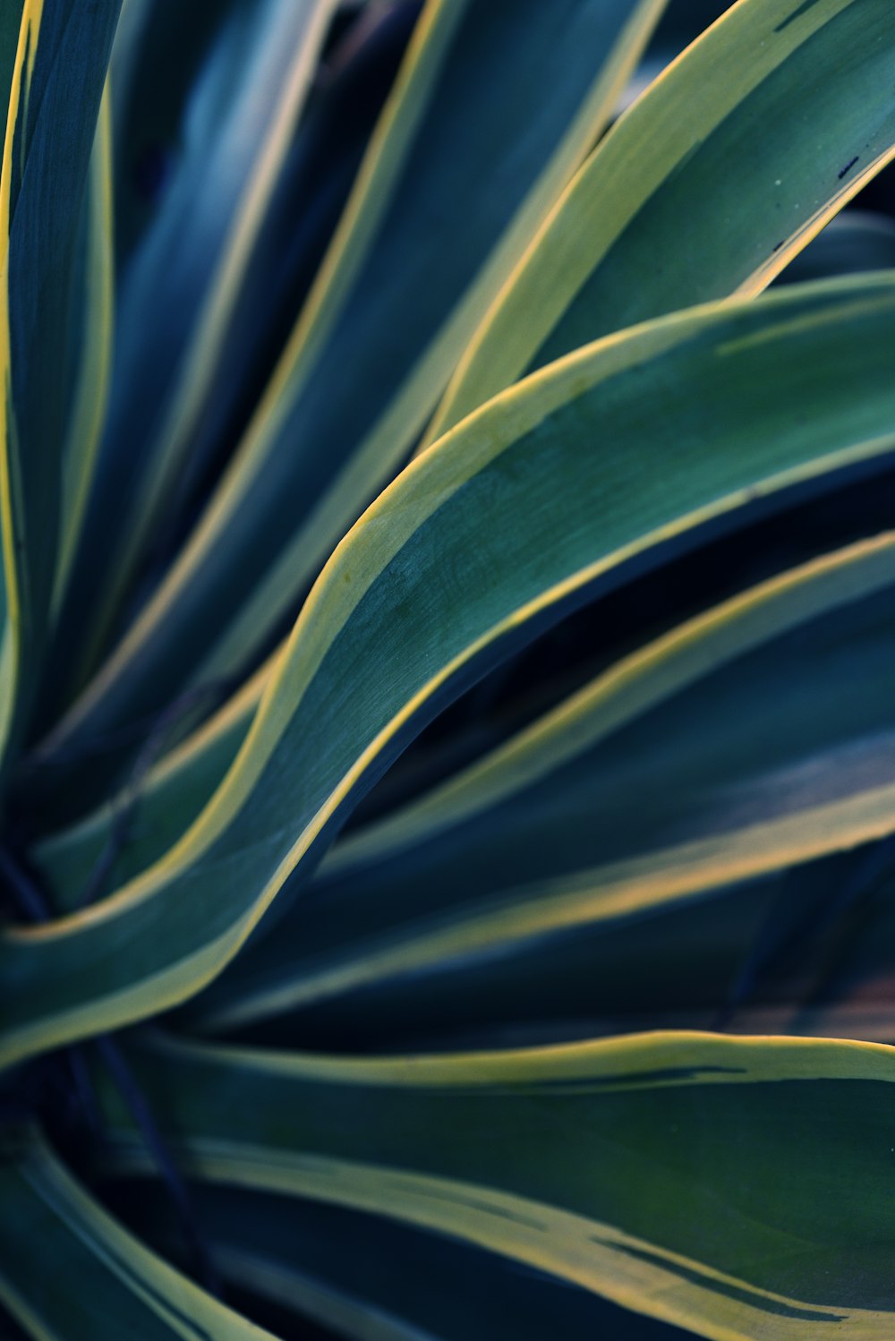 a close up of a green and yellow striped surface