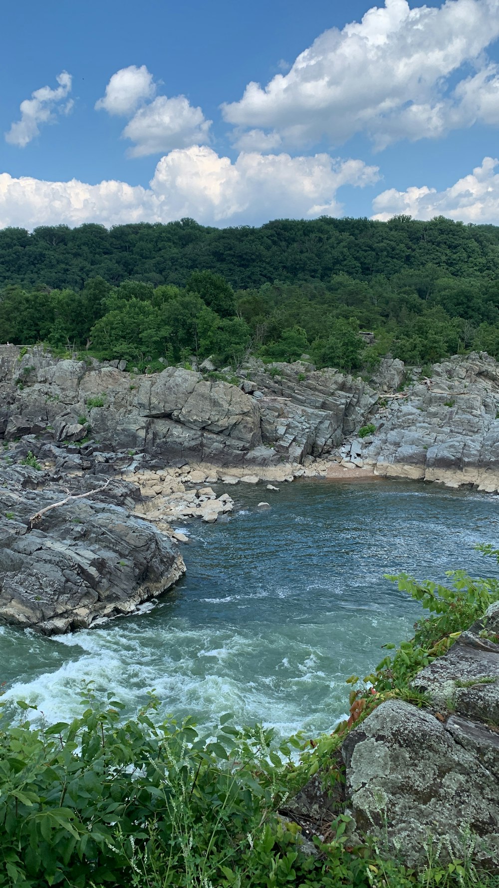 a river with rocks and trees