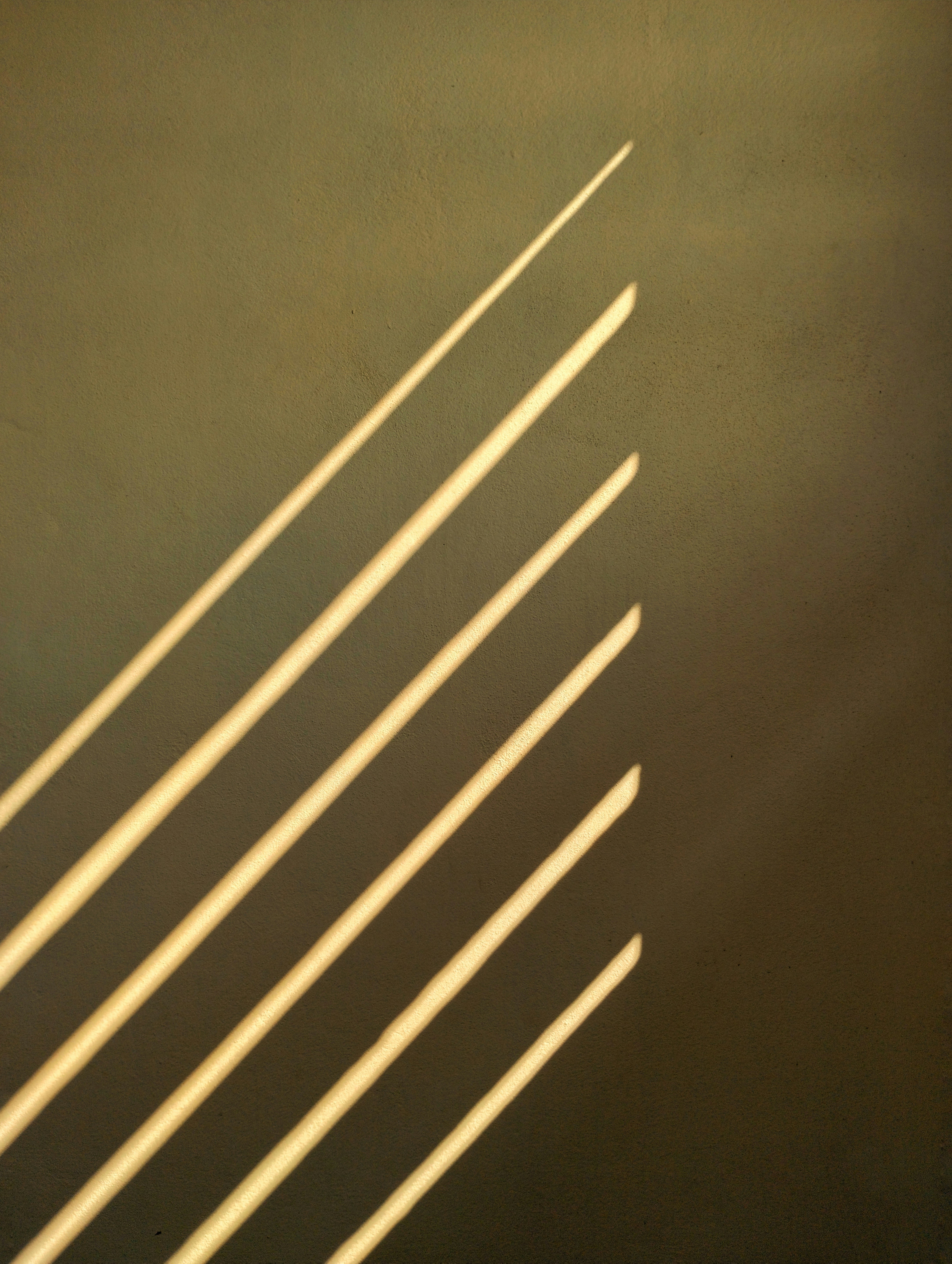 Photo by nikhilnik390