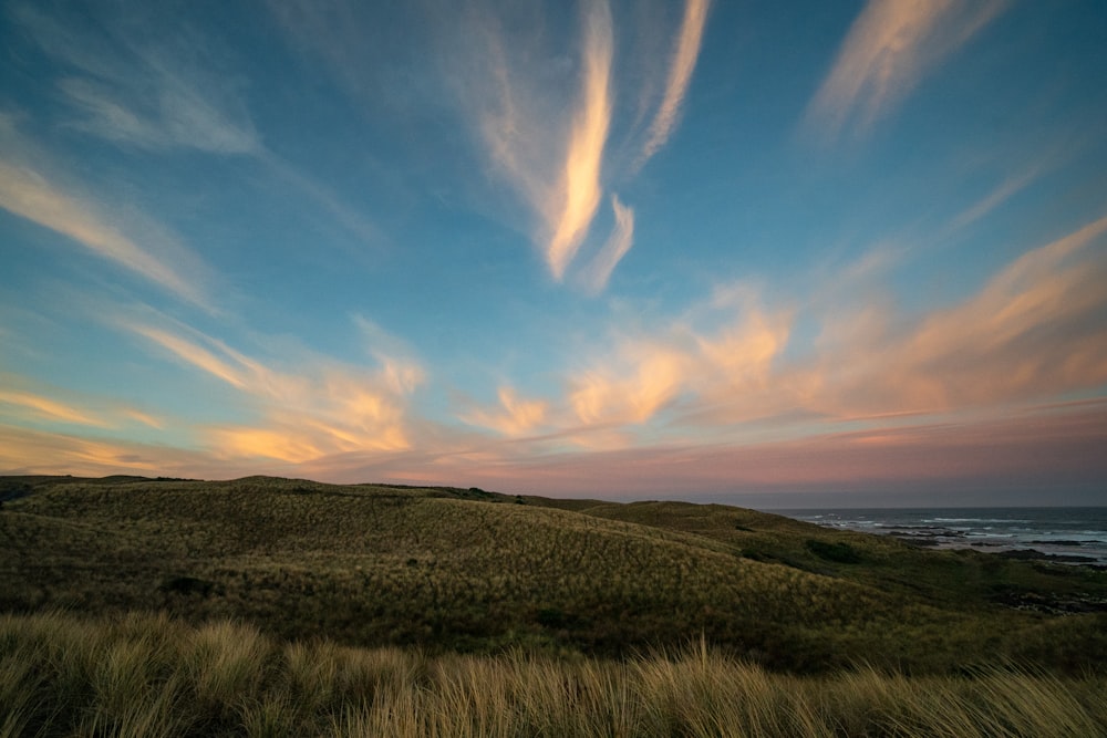 a grassy hill with a body of water in the background