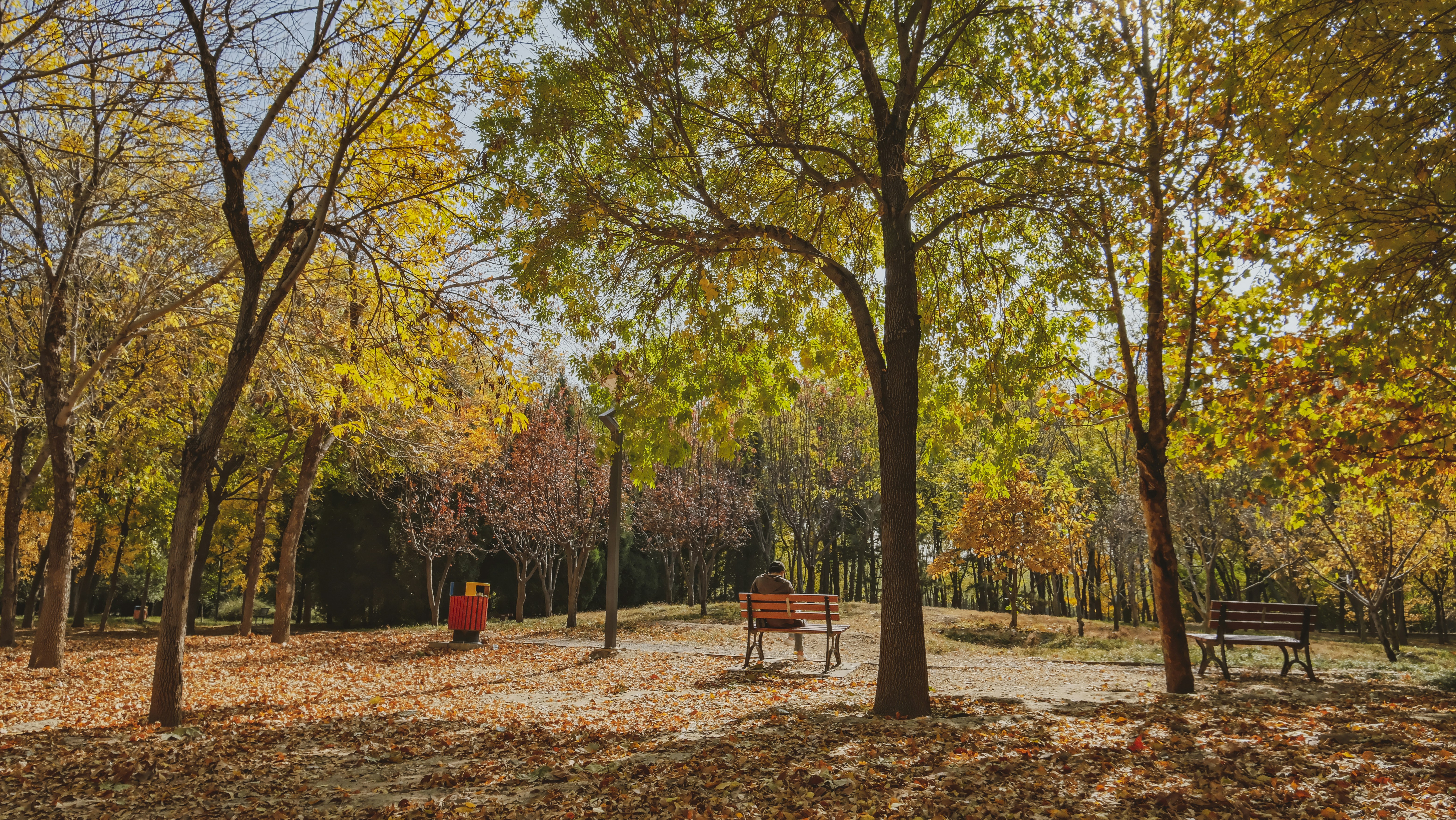 Photo by hattrick1996