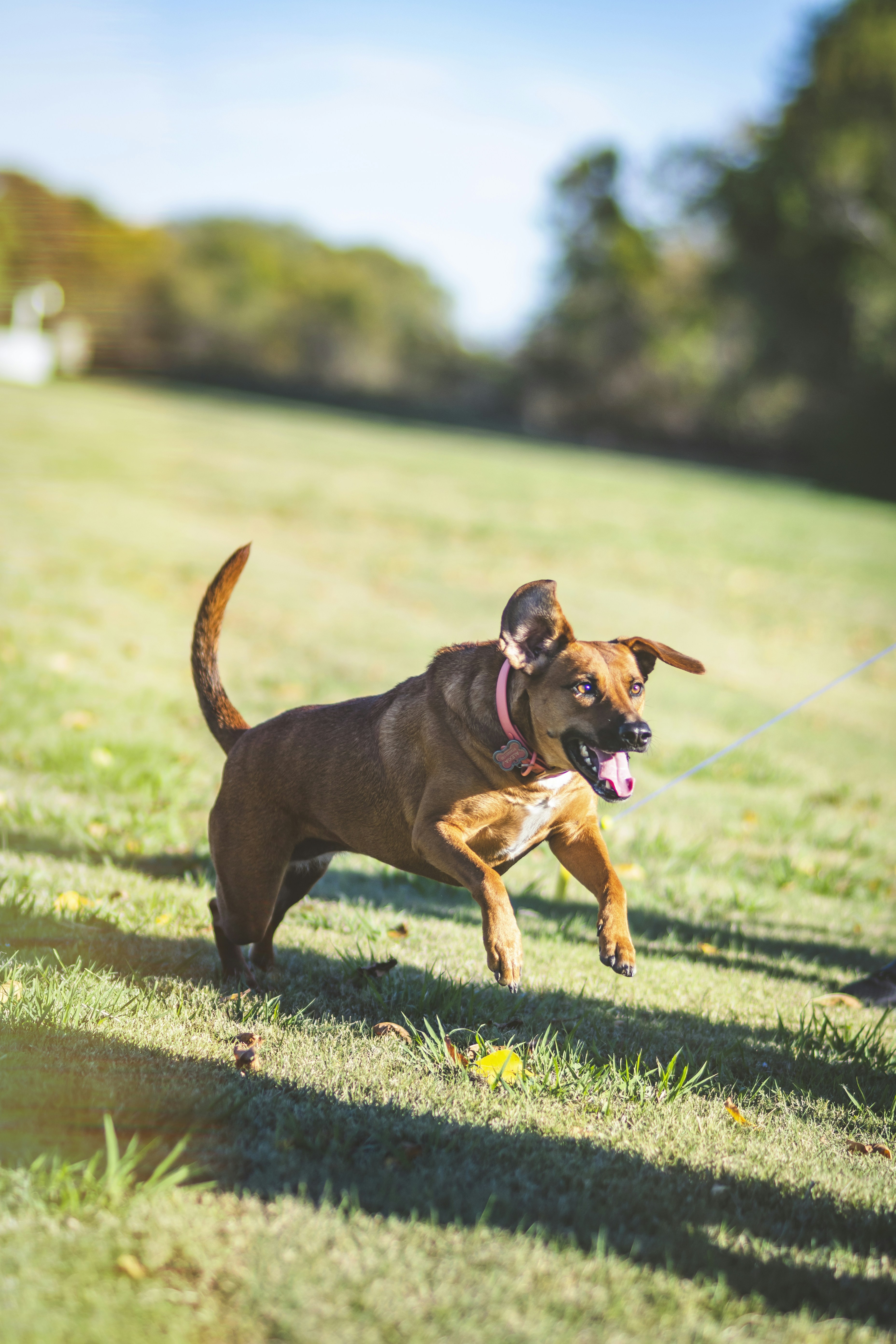 Photo by gabrielrana