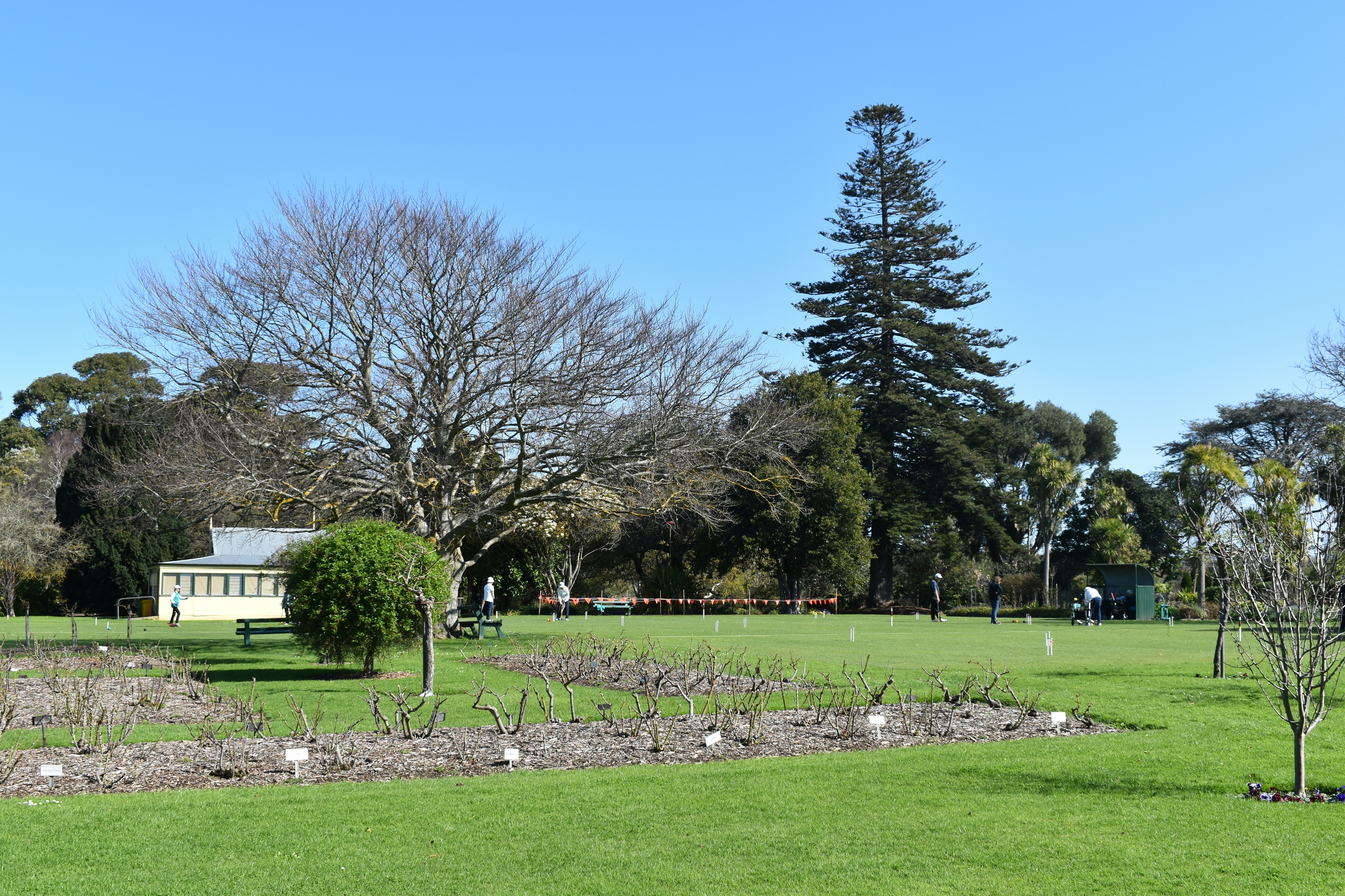 a grassy area with trees and a building in the background