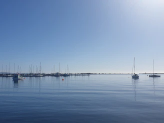 A serene marina scene with boats gently floating on crystal-clear water surrounded by lush greenery.