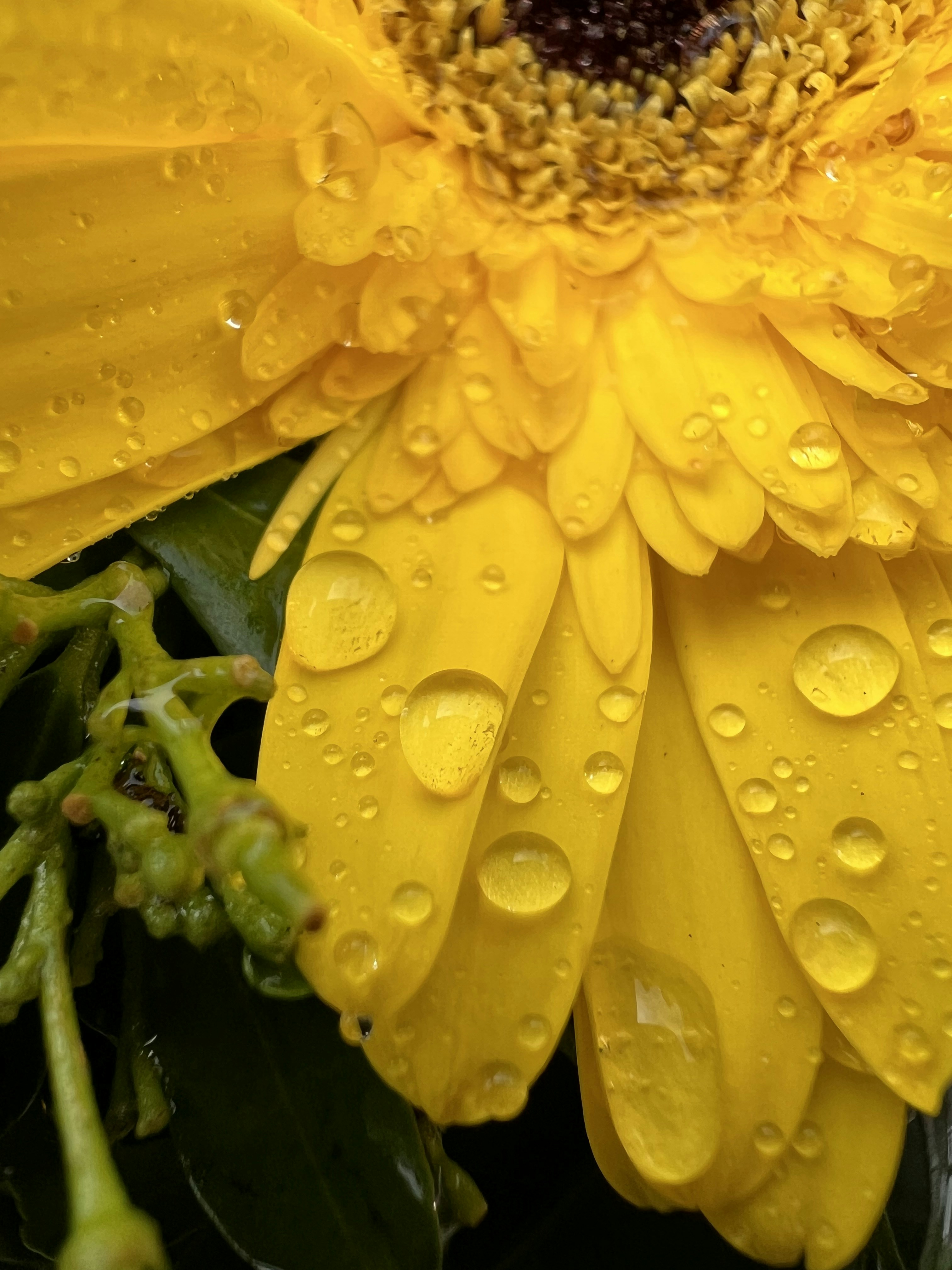 Photo by magic_lens_