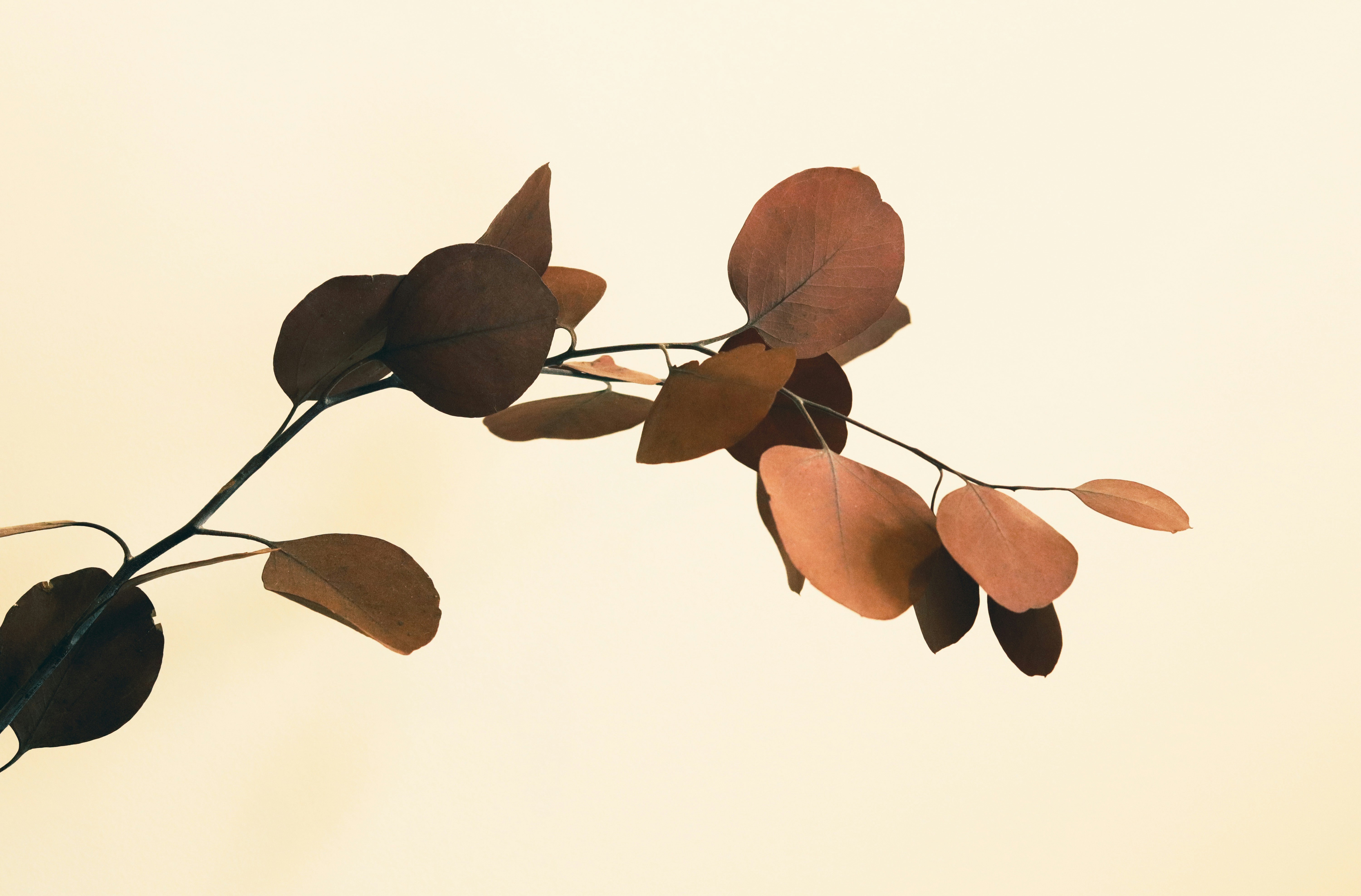 Photo by johnlee71421