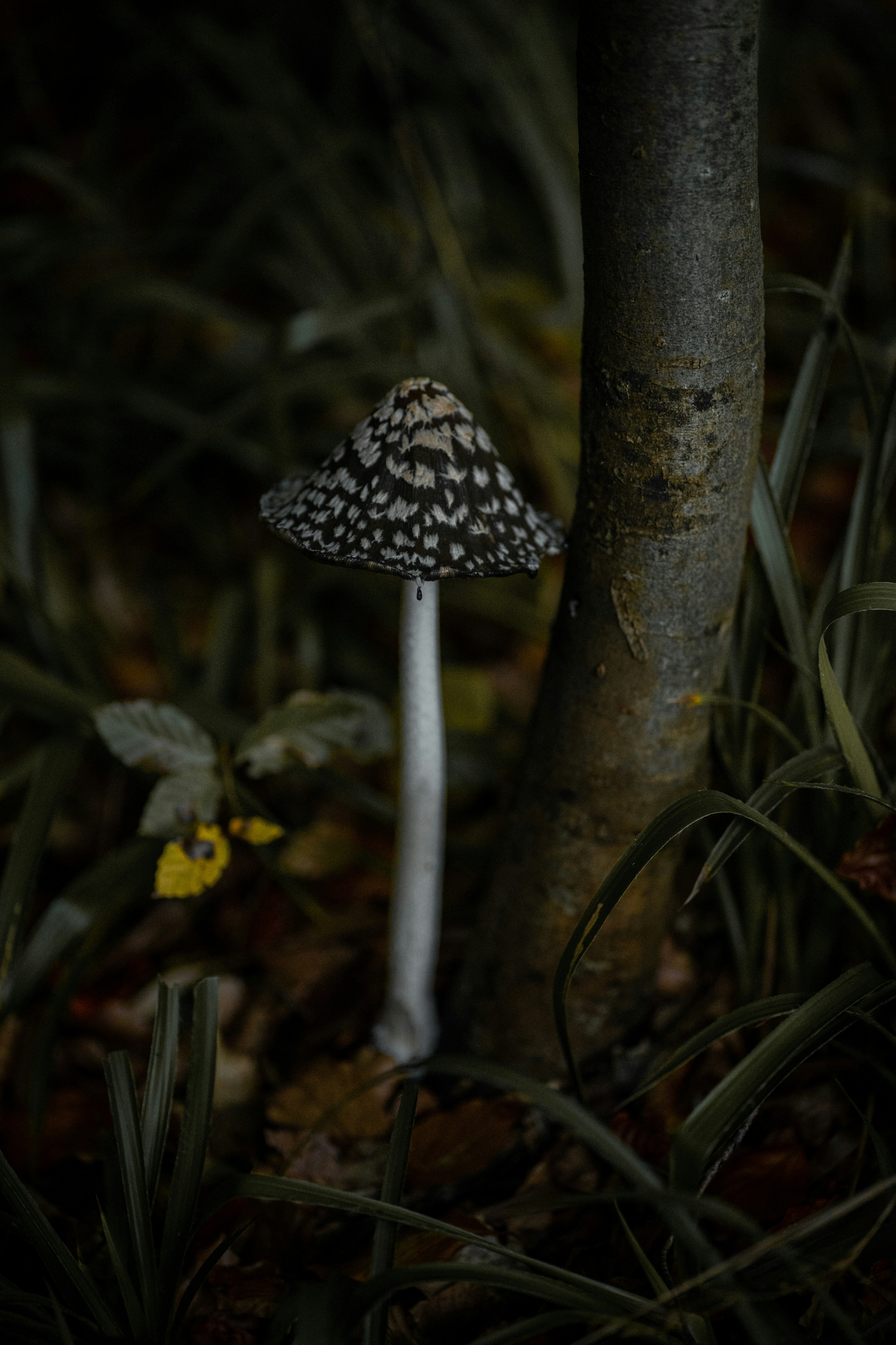 Photo by mirasyniak