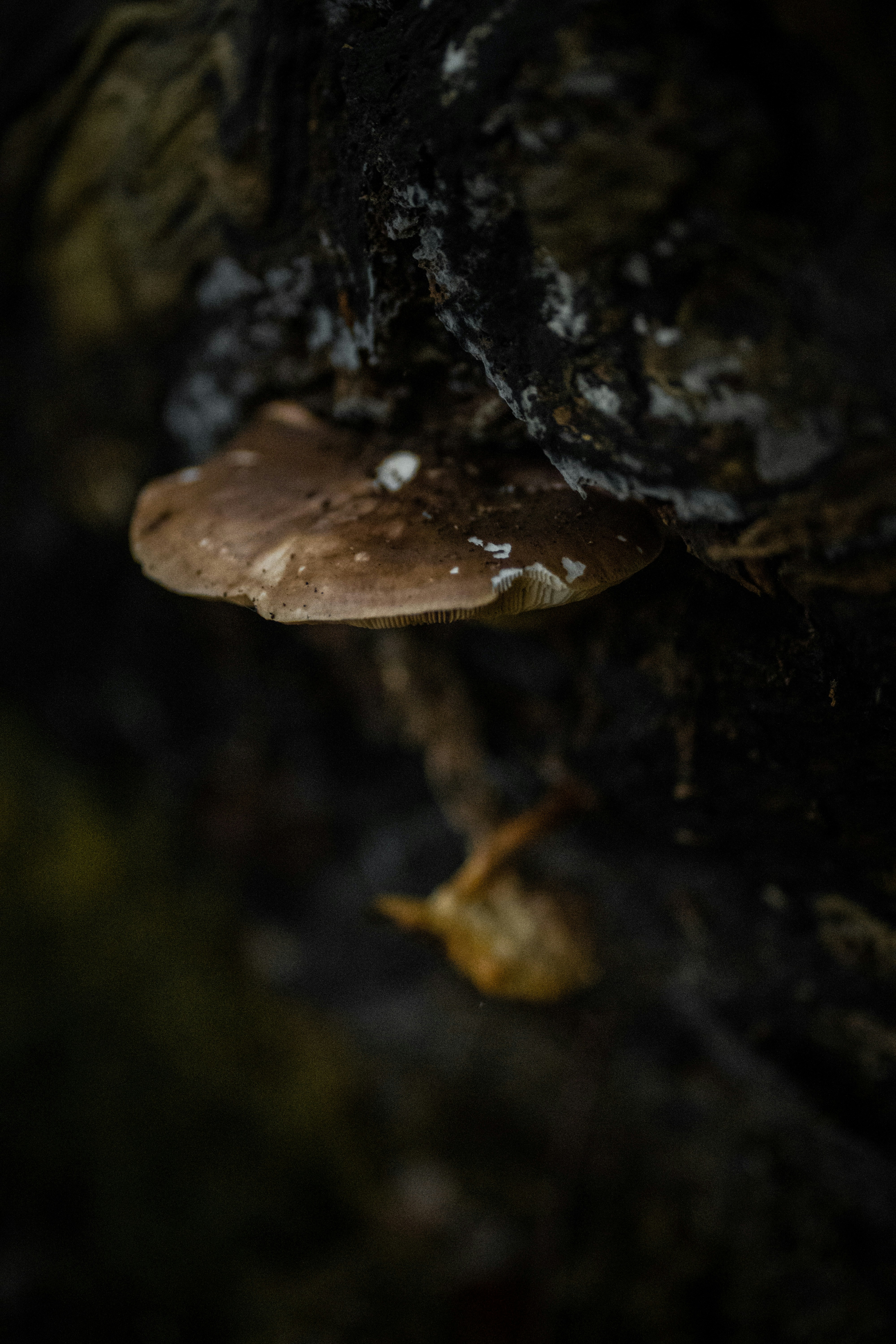 Photo by mirasyniak