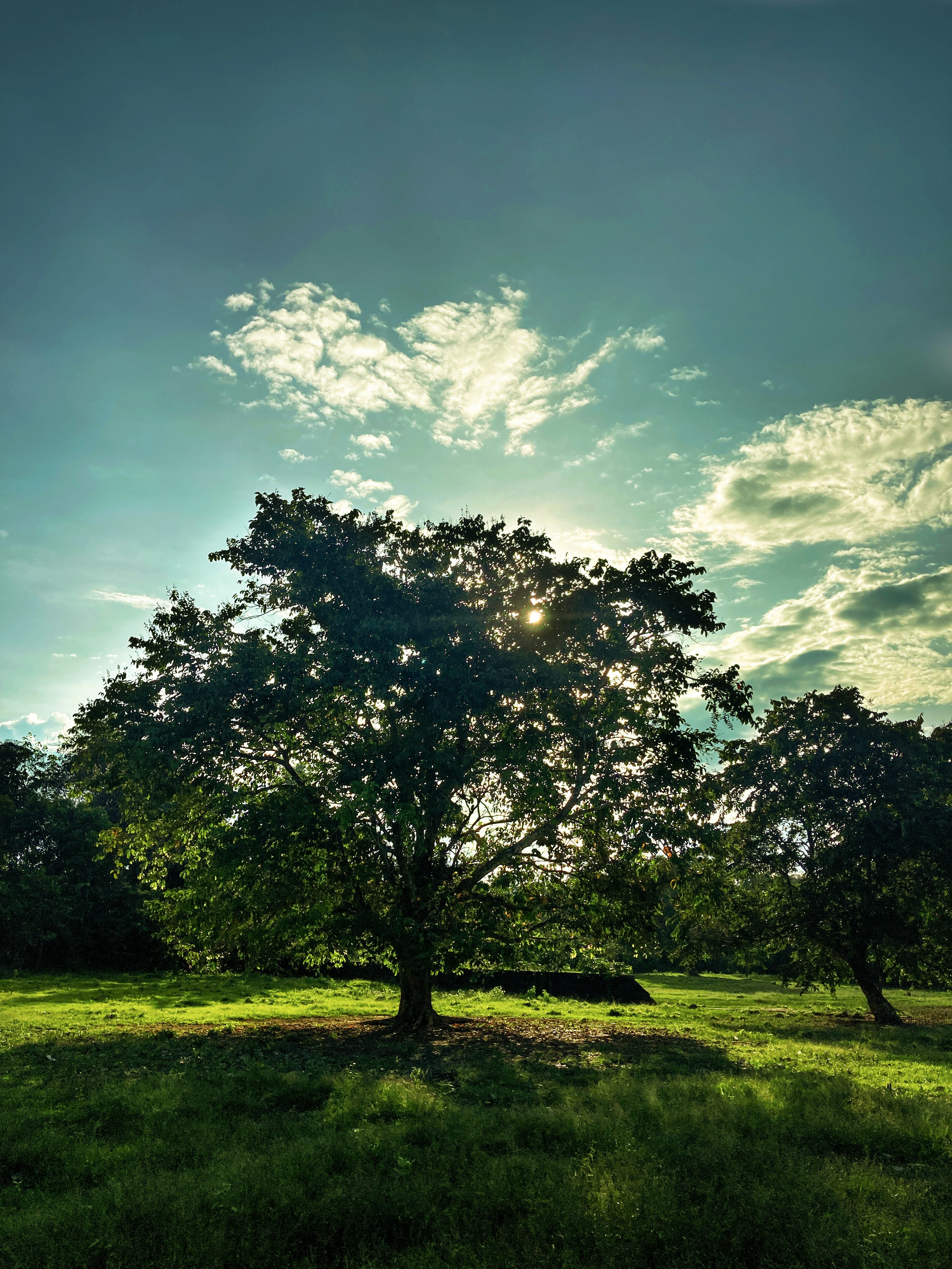 Photo by khoiruabdan