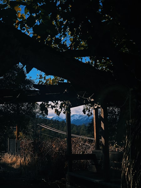 Mountain View Backyard with Fire Pit photo 5