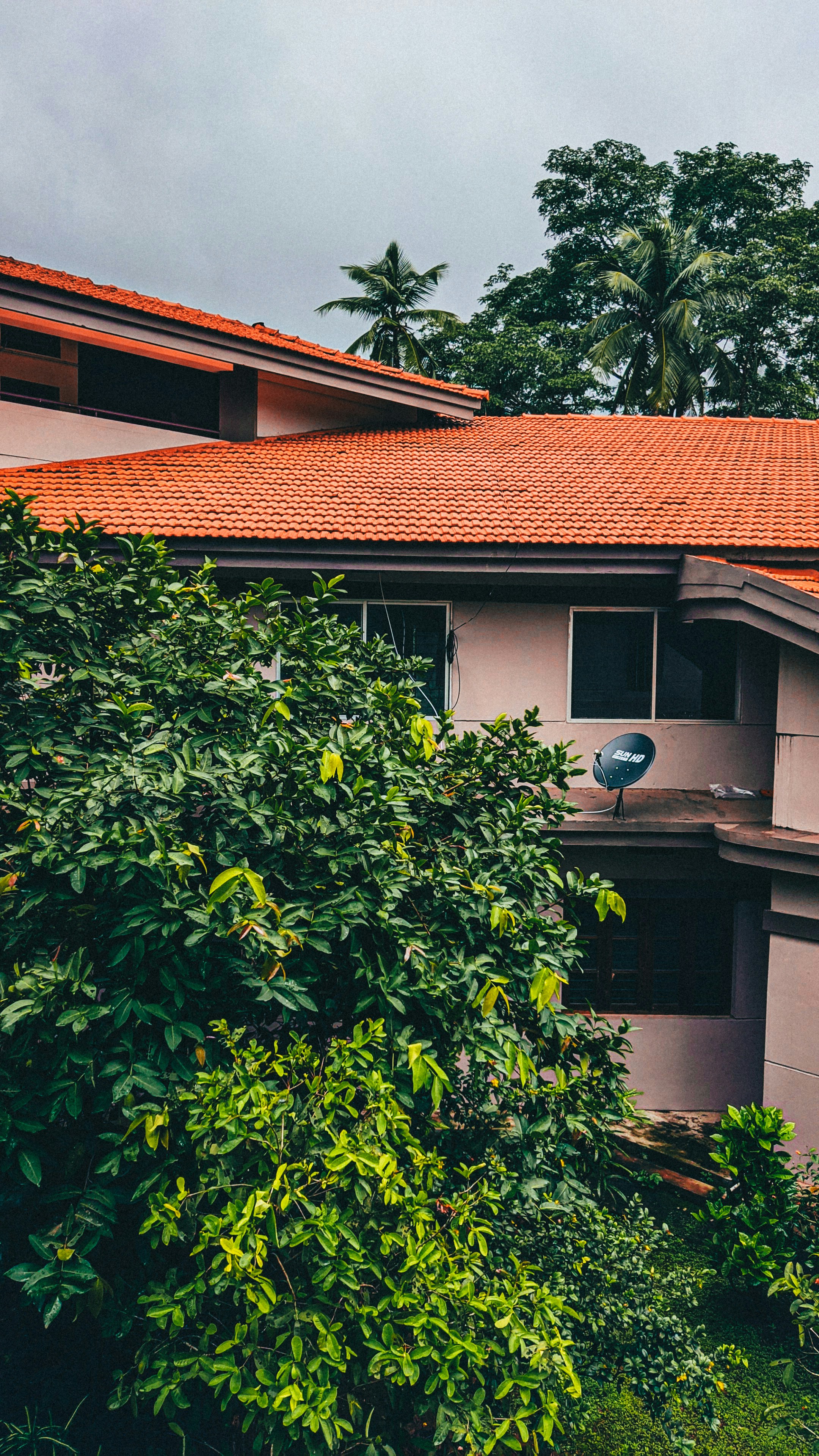 Photo by aryansingh0634