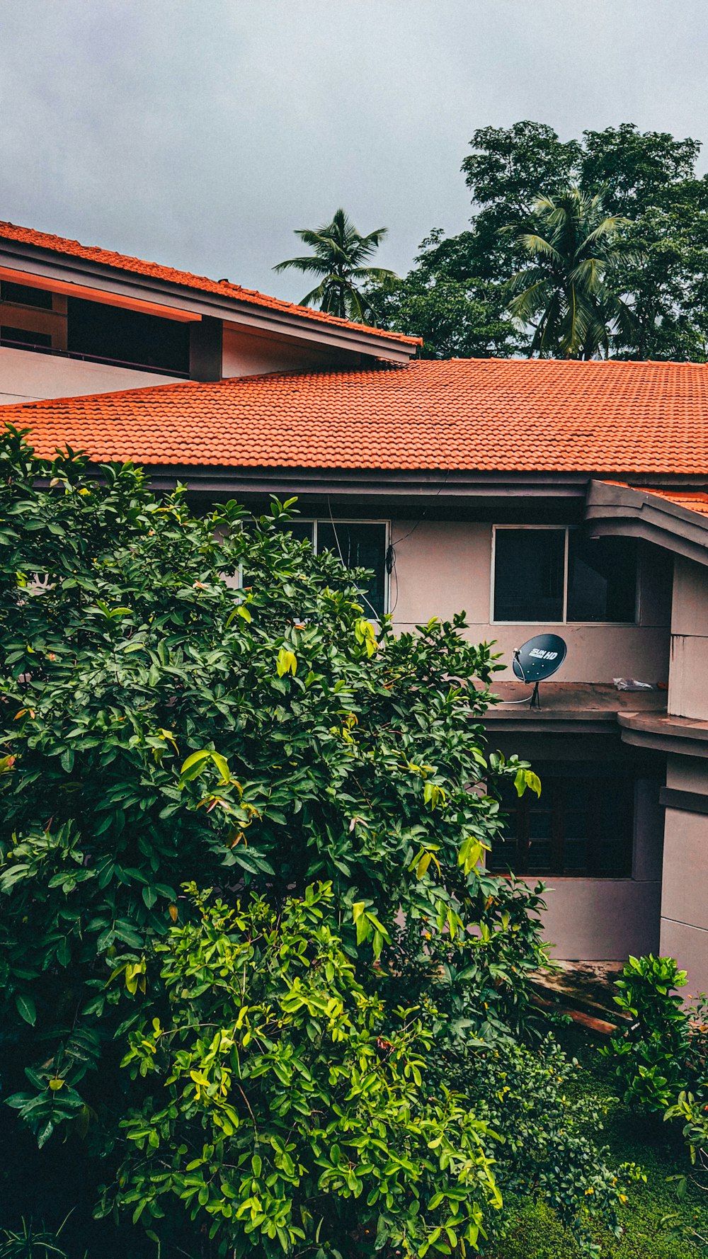 a house with trees in the front