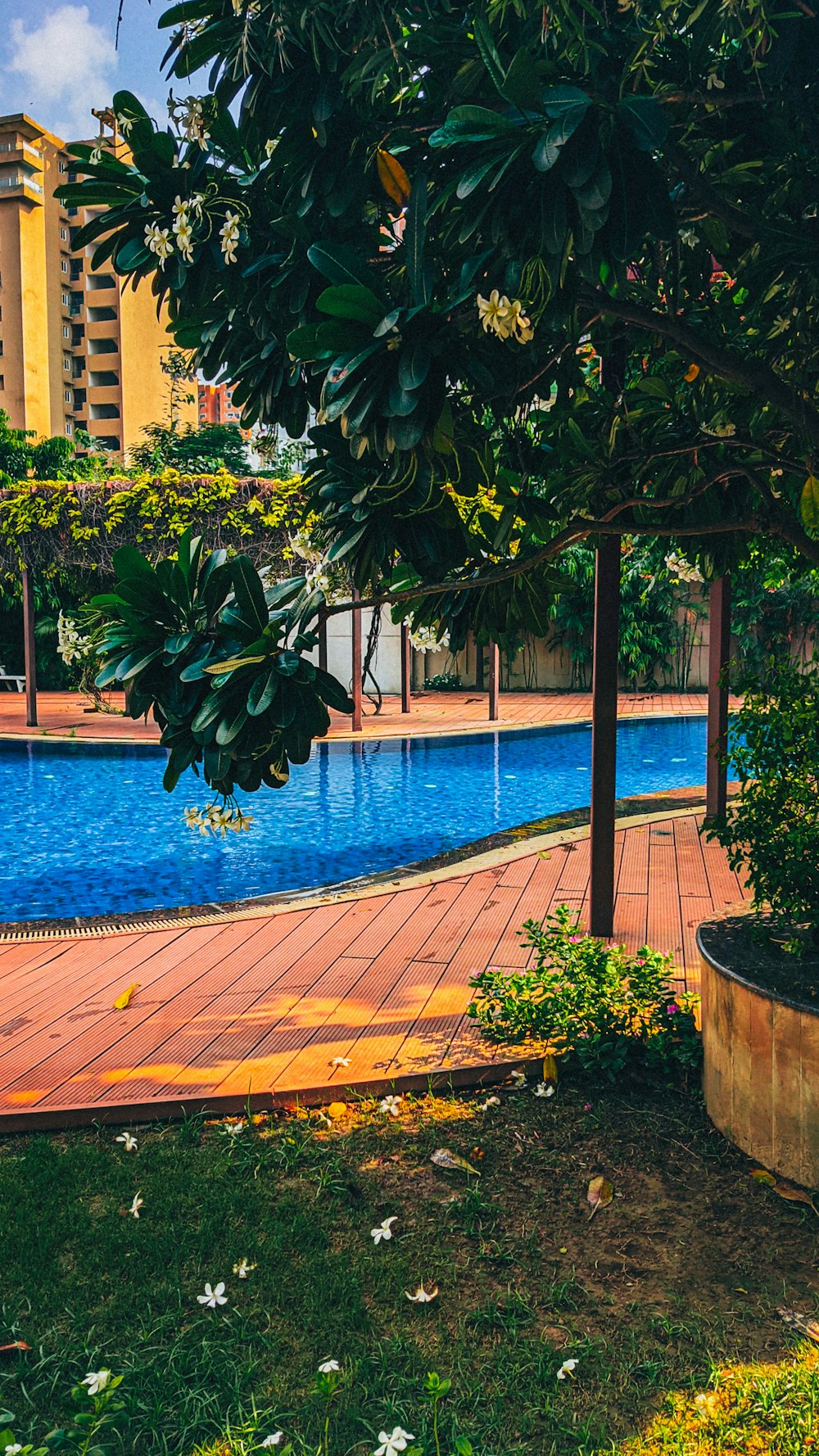 a pool with a tree and a building in the background