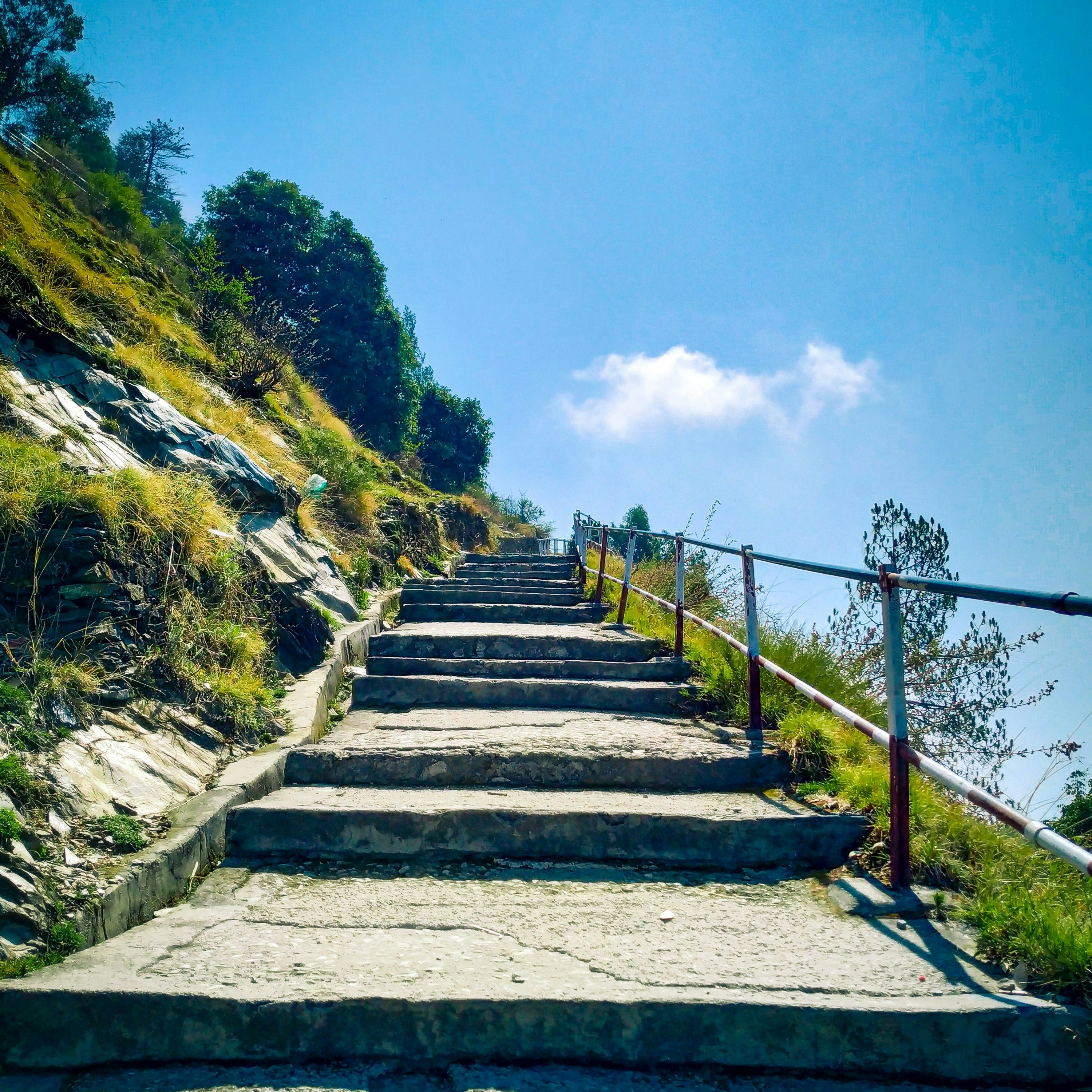 Photo by bharatsingh_xaa