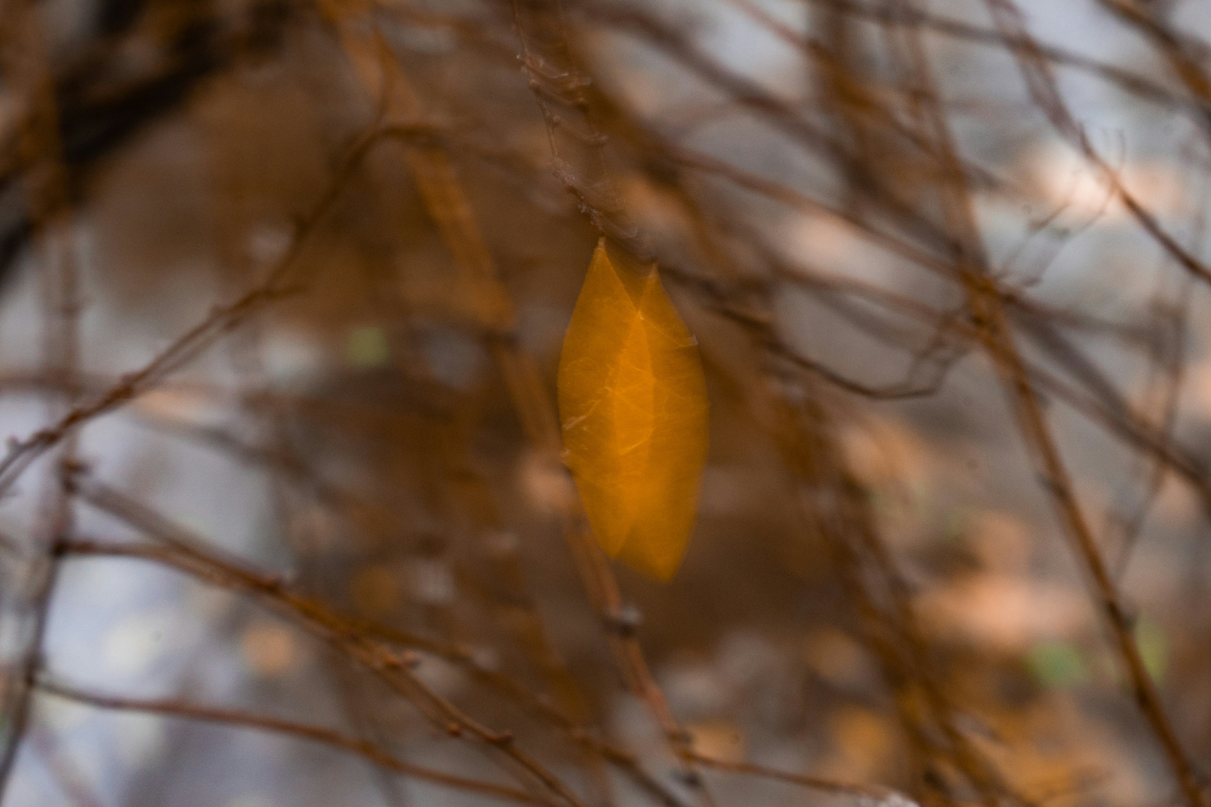 Photo by fourcubes