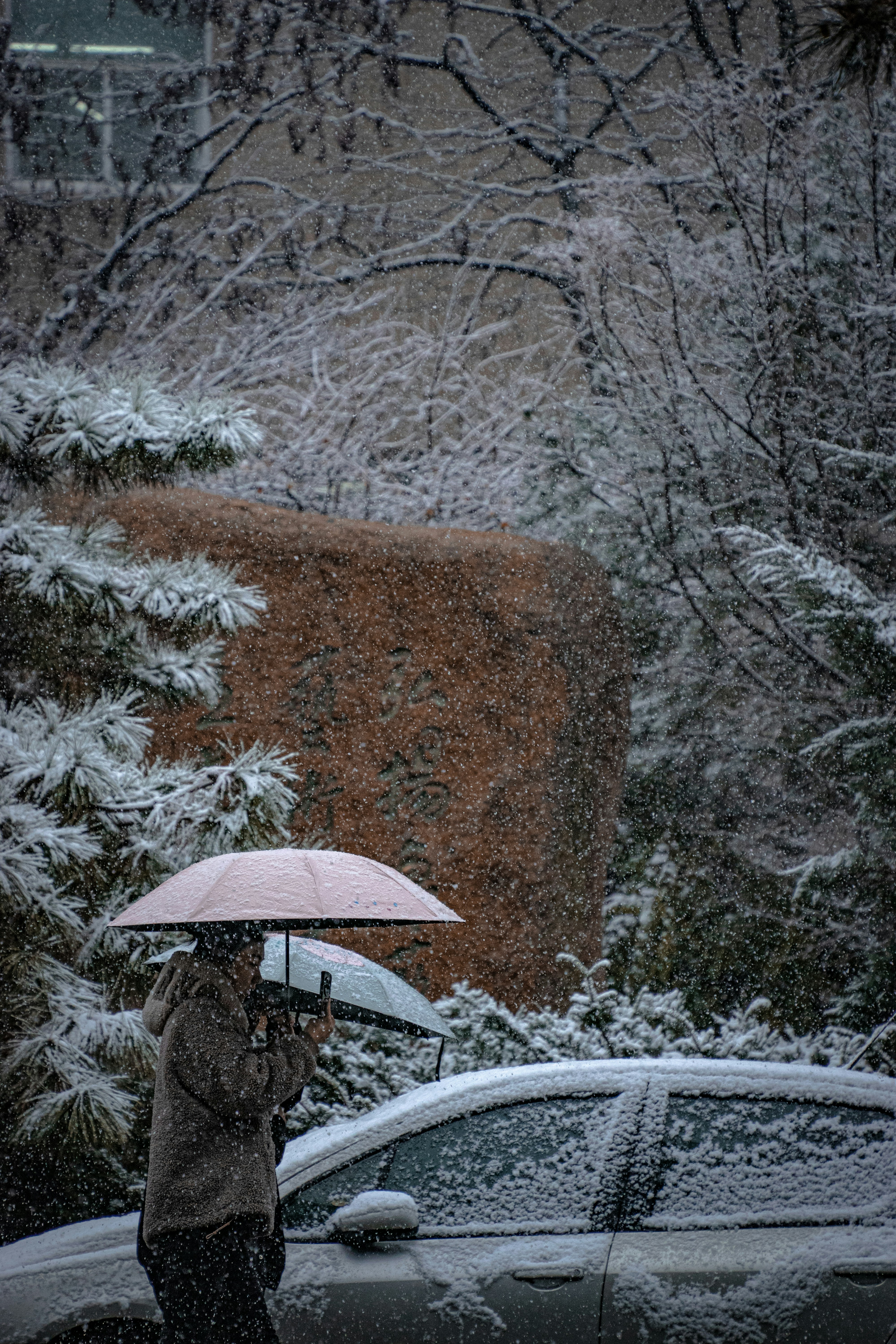 Photo by fourcubes