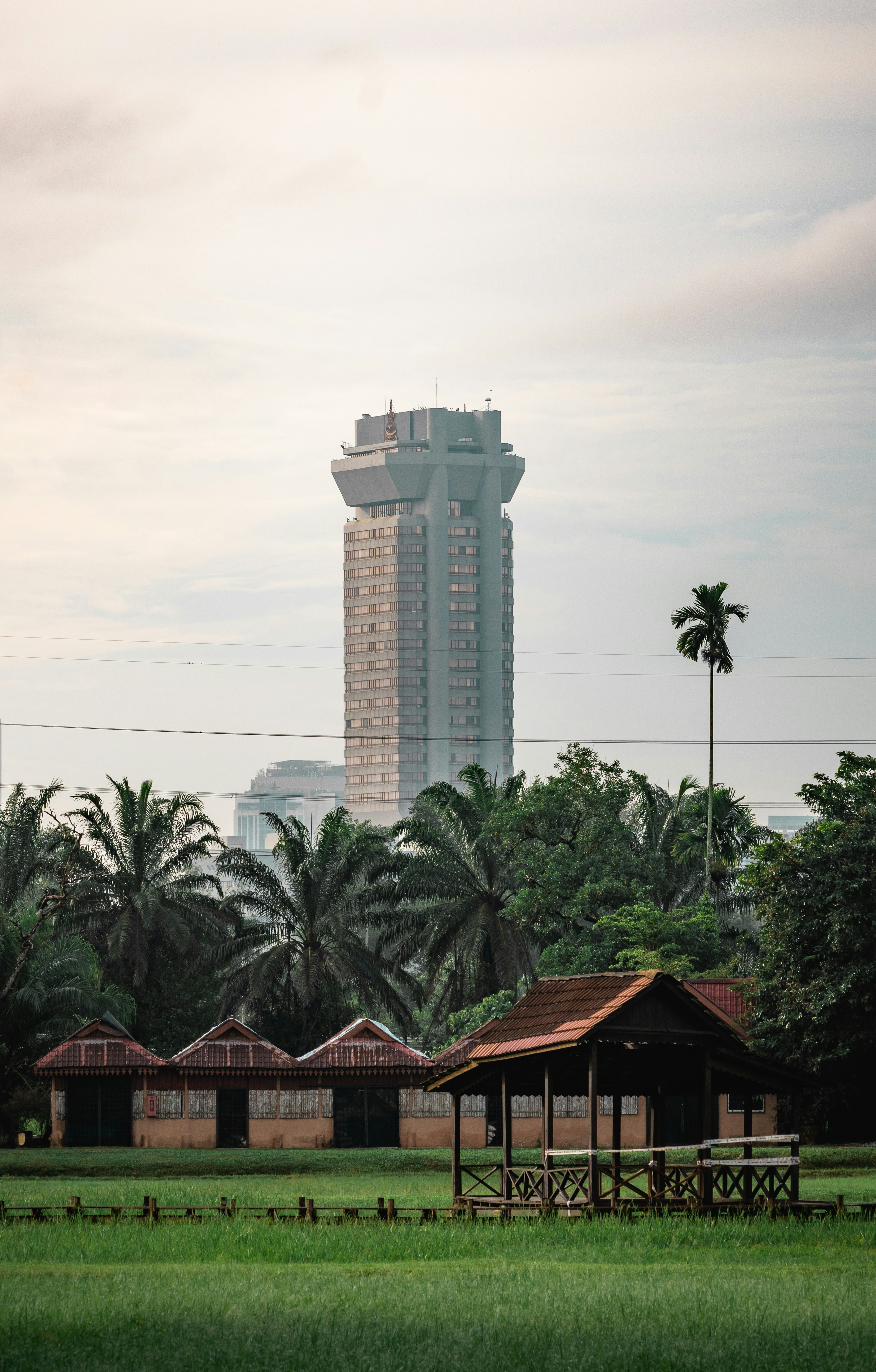 a tall building behind trees