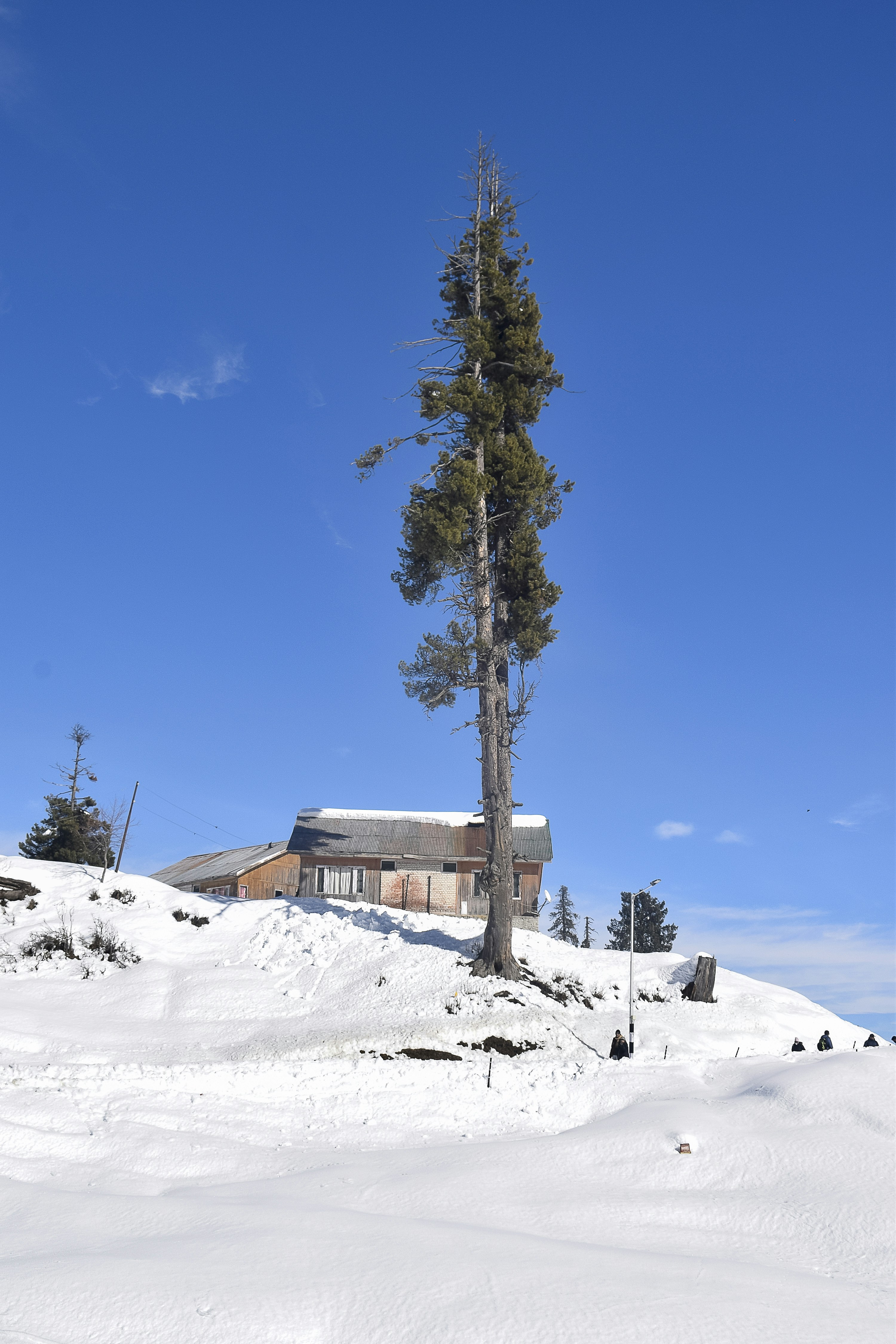 Photo by joshigeorge