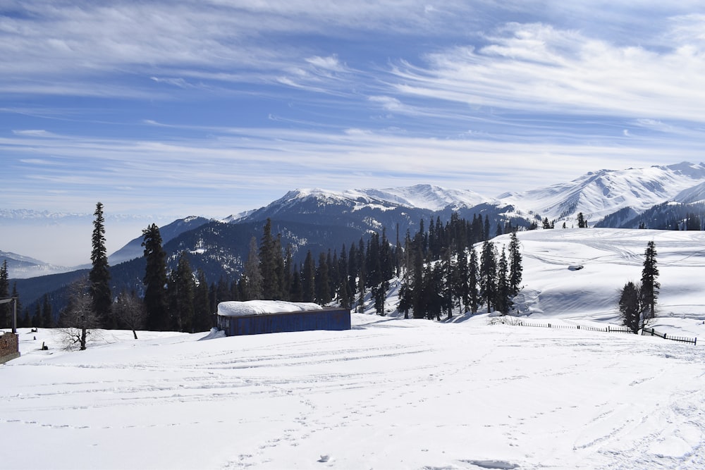 a snowy landscape with trees and mountains