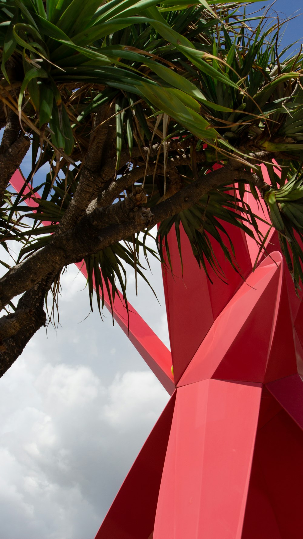 a red umbrella next to a palm tree