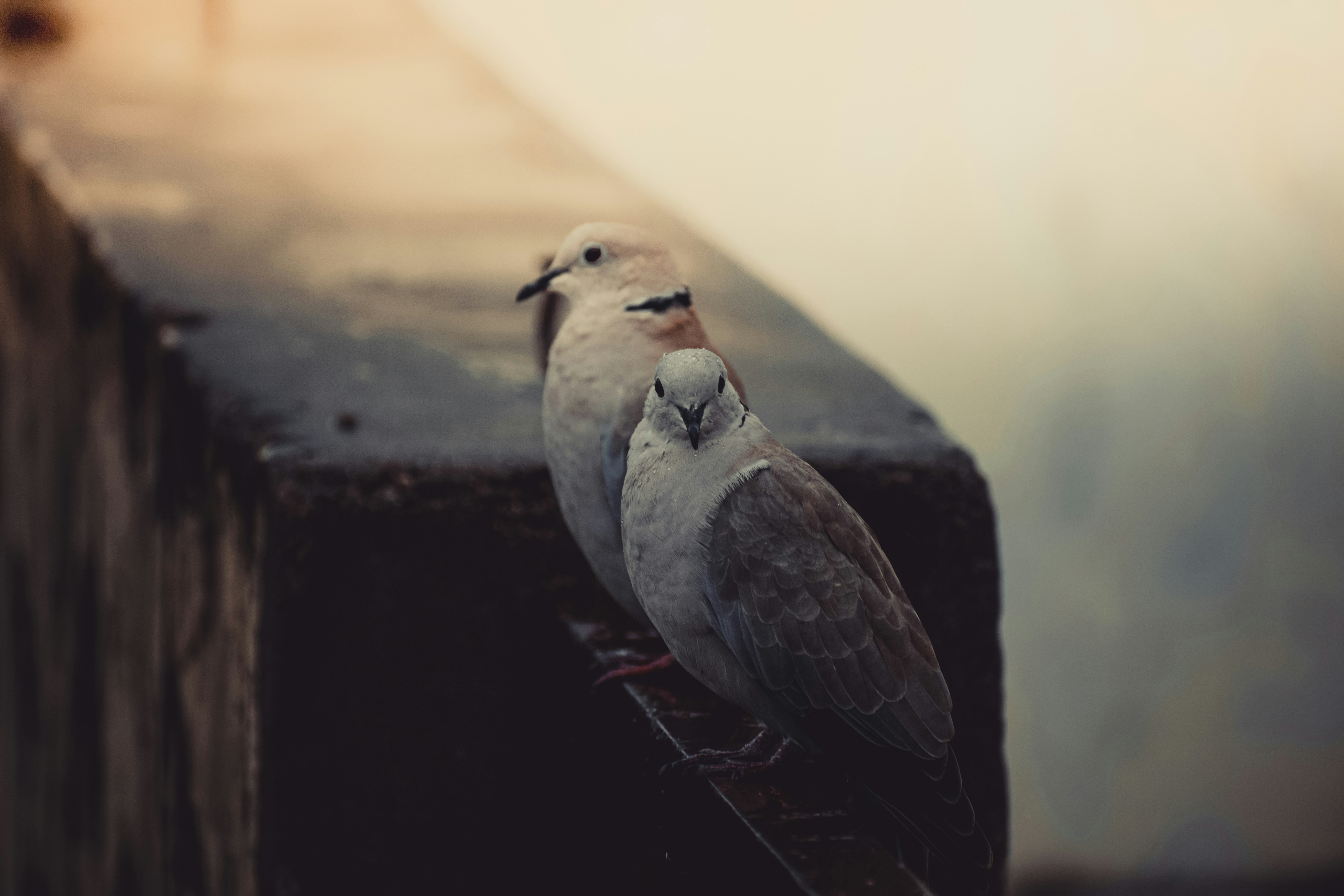 Photo by mahikul_darji