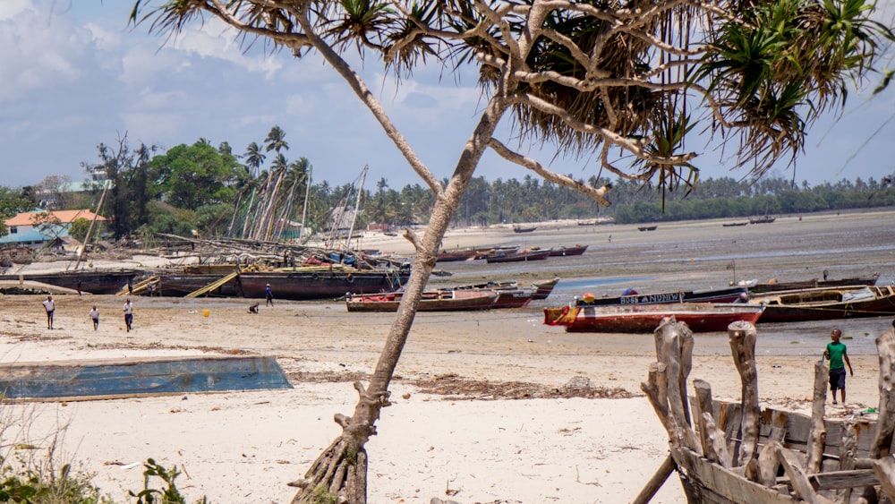 a beach with boats and people