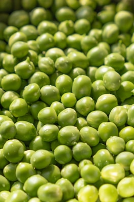 Close-up on bright green frozen peas glistening with frost.