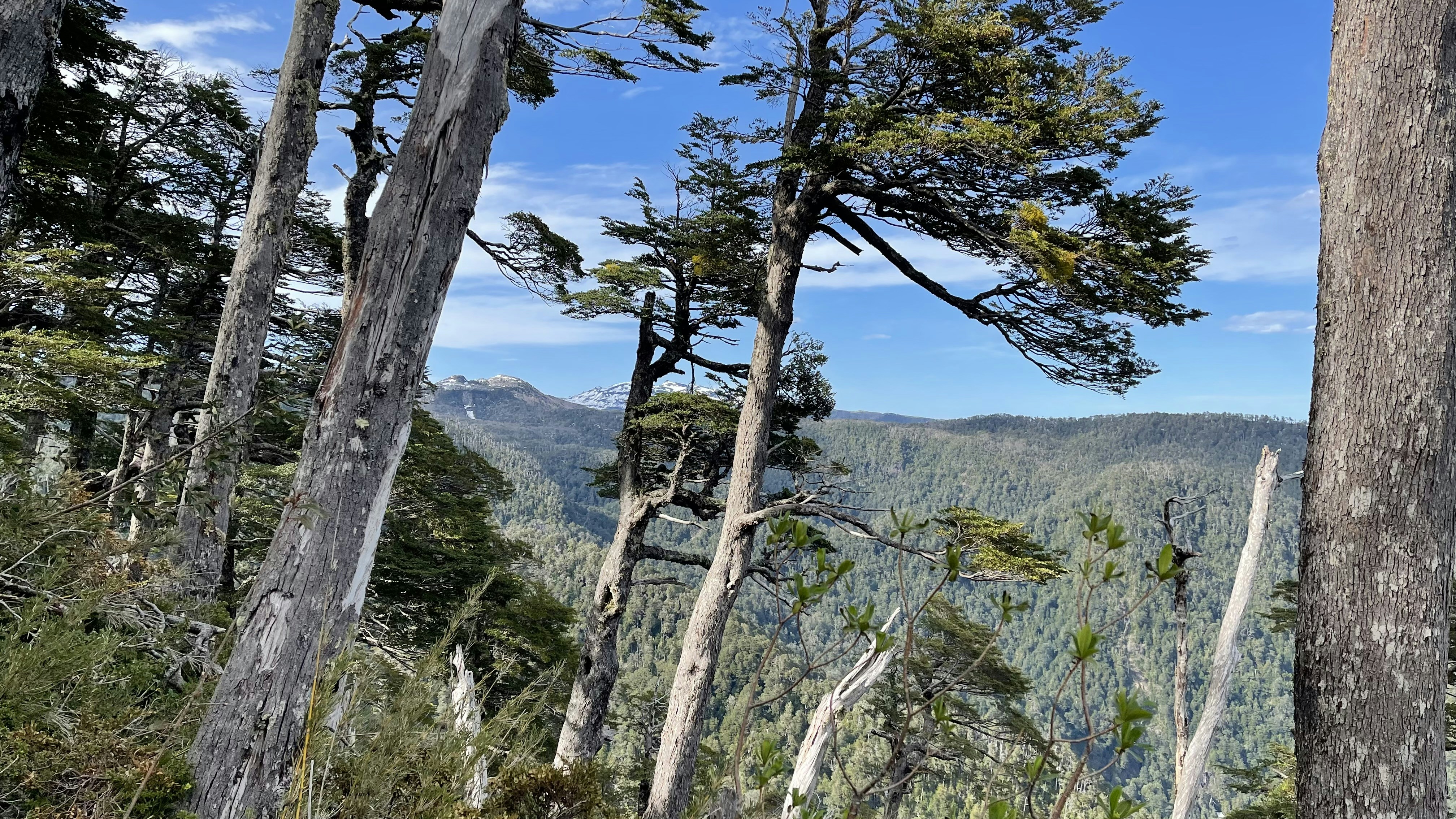 Photo by alain_briancon