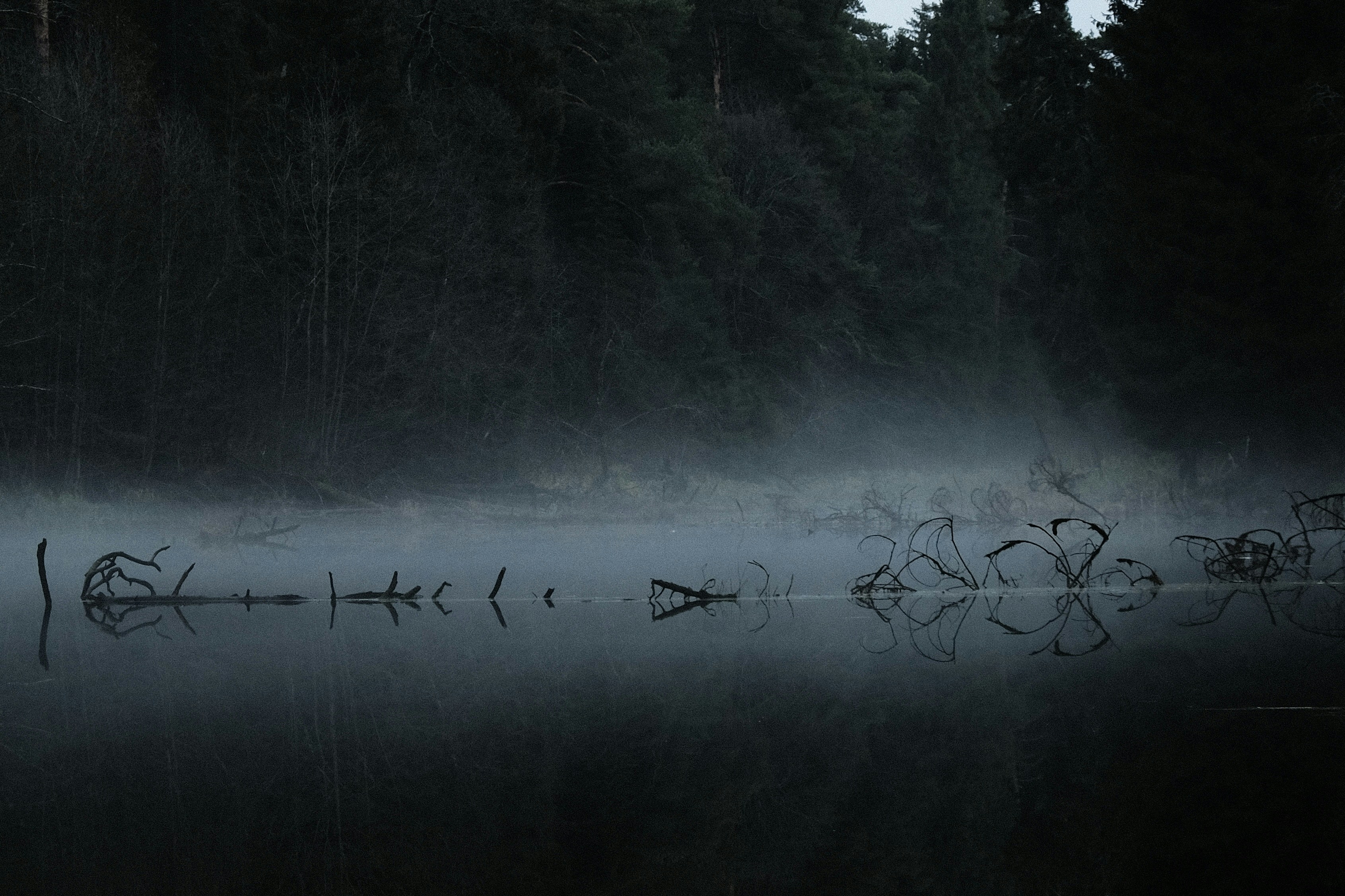 Photo by kazusaki_sagar