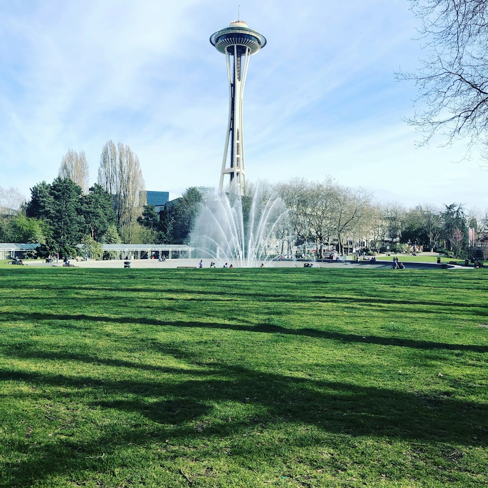 a large tower in a park