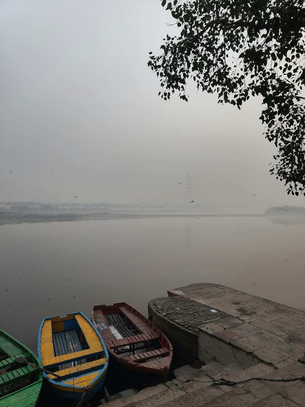 boats on a dock