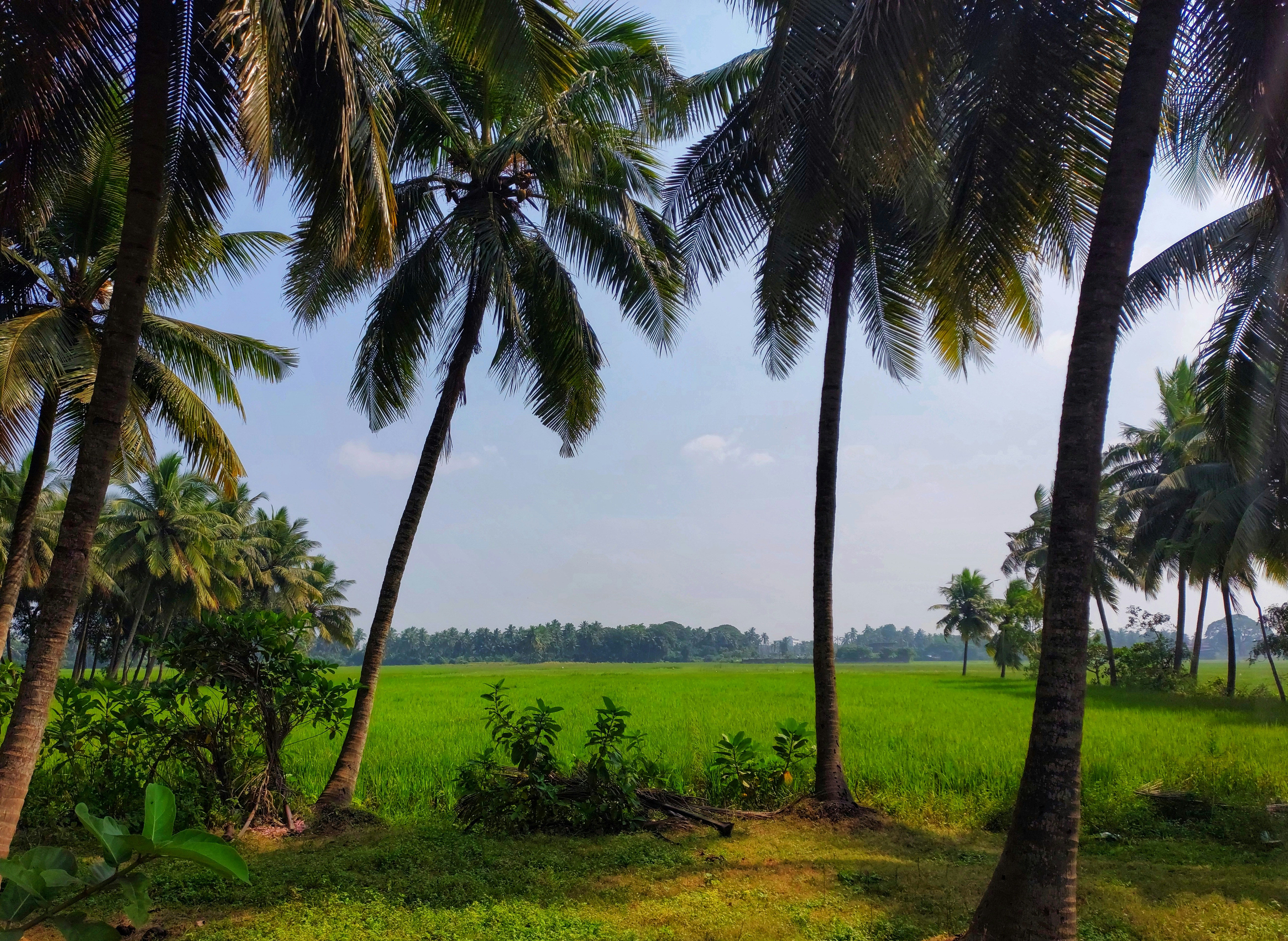 Photo by ebenezer_ebe