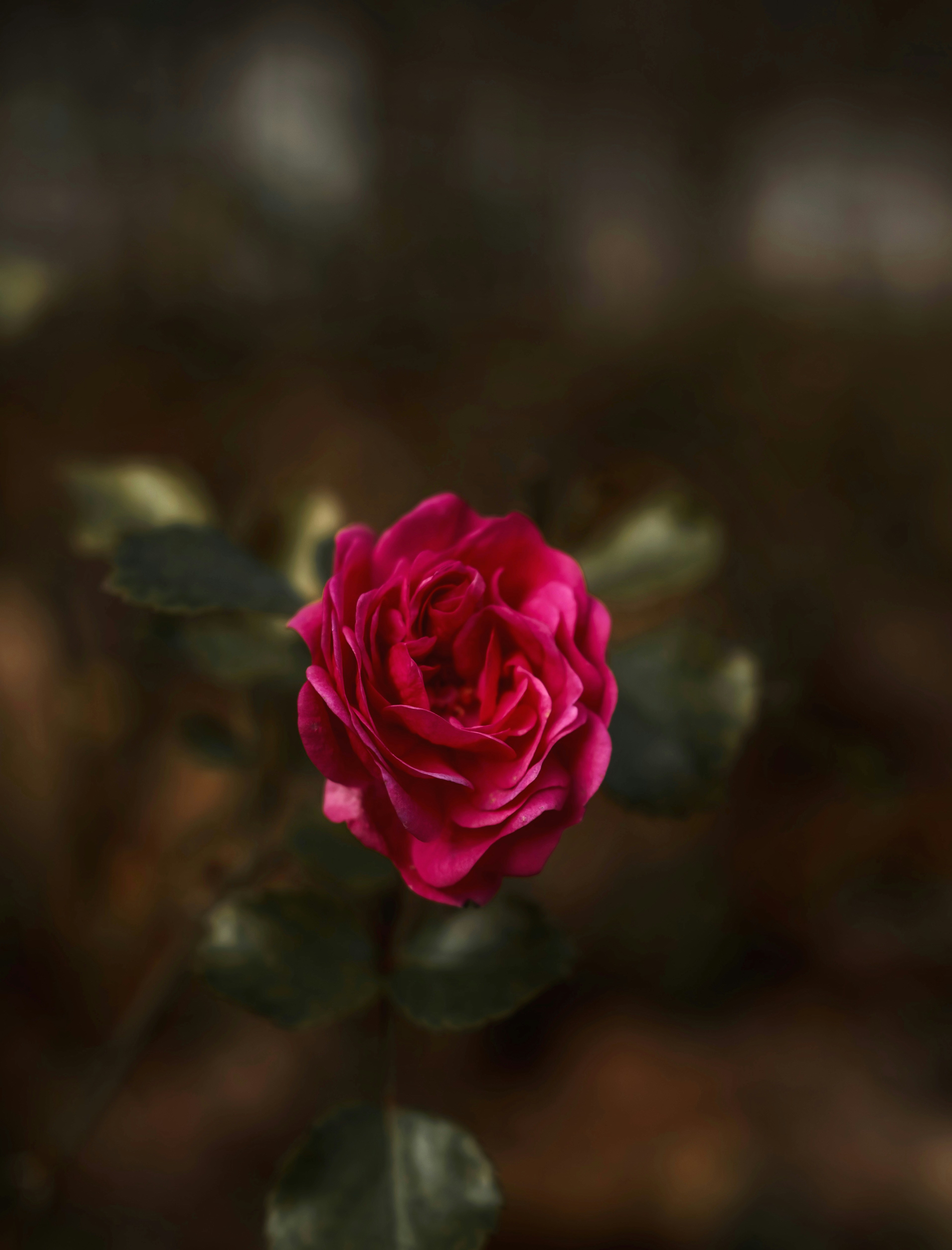 Photo by prics