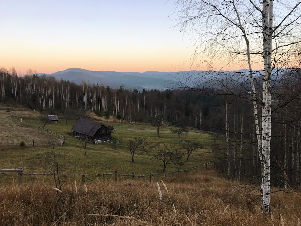 a house in a field