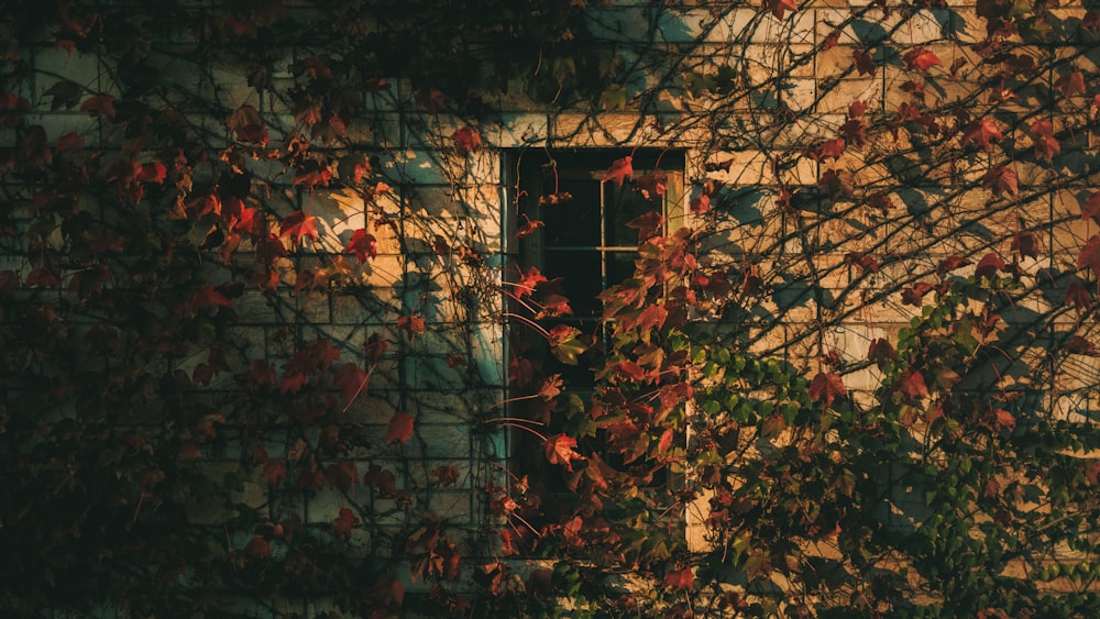 a building with plants around it