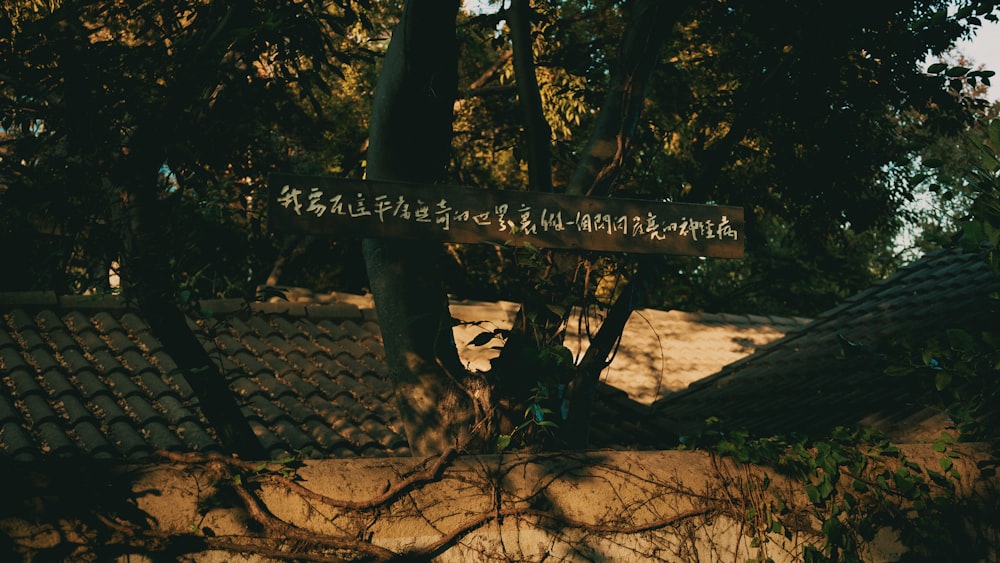 a sign on a tree