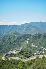 a large green landscape