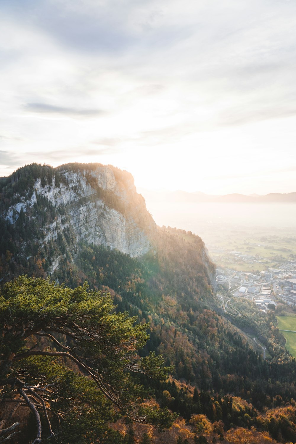 a mountain with trees and a city below