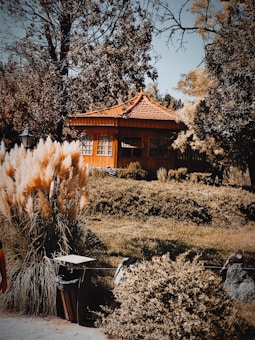 A rustic wooden pavilion with a tiled roof is surrounded by lush trees and tall grasses. The structure is set in a serene garden scene with various plants and a clear sky overhead.