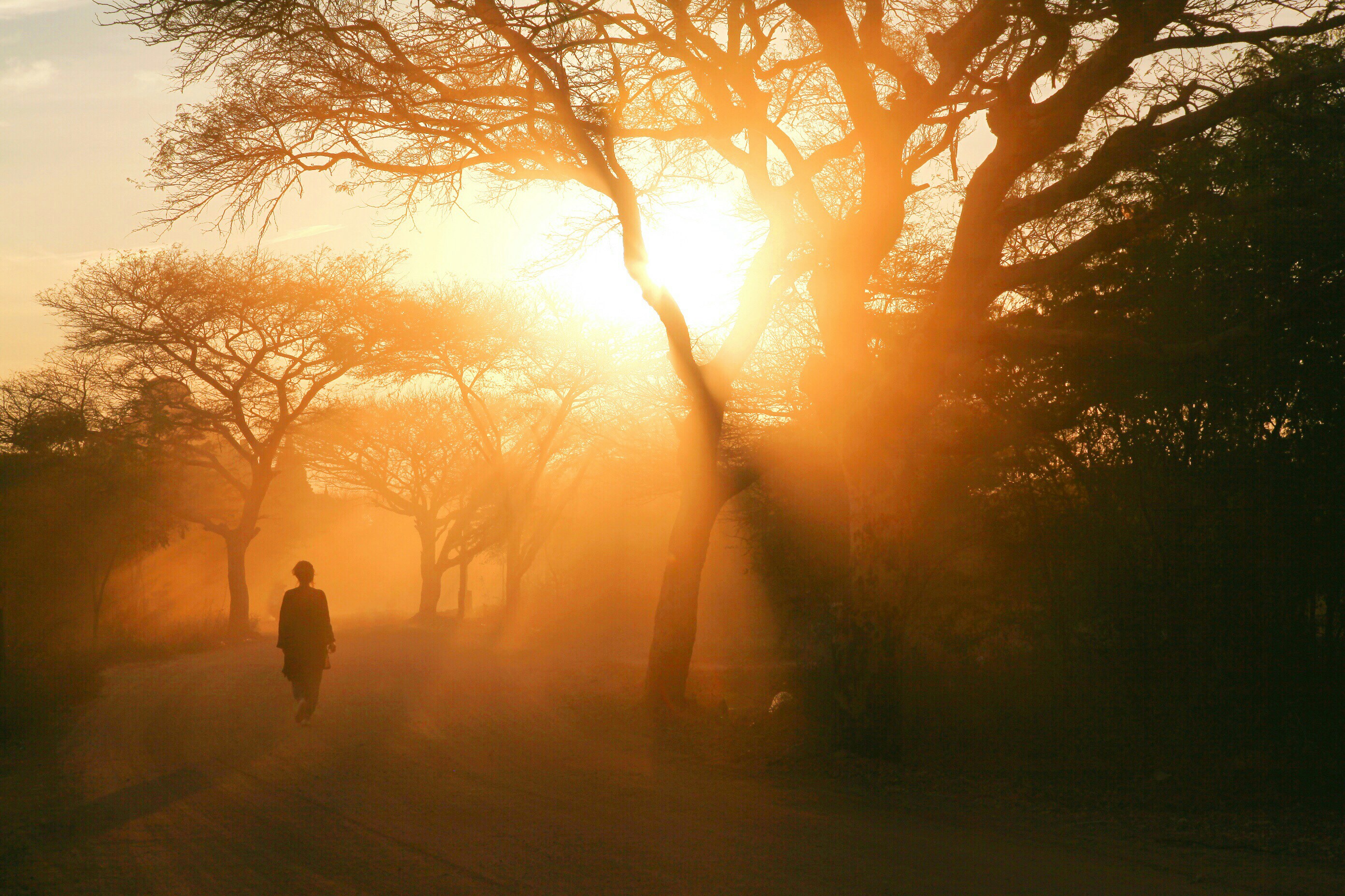 Photo by chrisfu1107