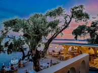 A seaside restaurant during sunset with people dining al fresco. There is a large, old tree in the center, surrounded by tables, while the horizon shows a blending of warm and cool tones. The seating area extends under a structure with archways and hanging lights, creating a cozy atmosphere.
