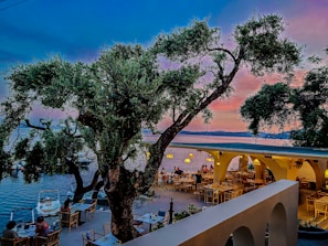 A seaside restaurant during sunset with people dining al fresco. There is a large, old tree in the center, surrounded by tables, while the horizon shows a blending of warm and cool tones. The seating area extends under a structure with archways and hanging lights, creating a cozy atmosphere.