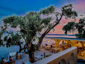 A seaside restaurant during sunset with people dining al fresco. There is a large, old tree in the center, surrounded by tables, while the horizon shows a blending of warm and cool tones. The seating area extends under a structure with archways and hanging lights, creating a cozy atmosphere.